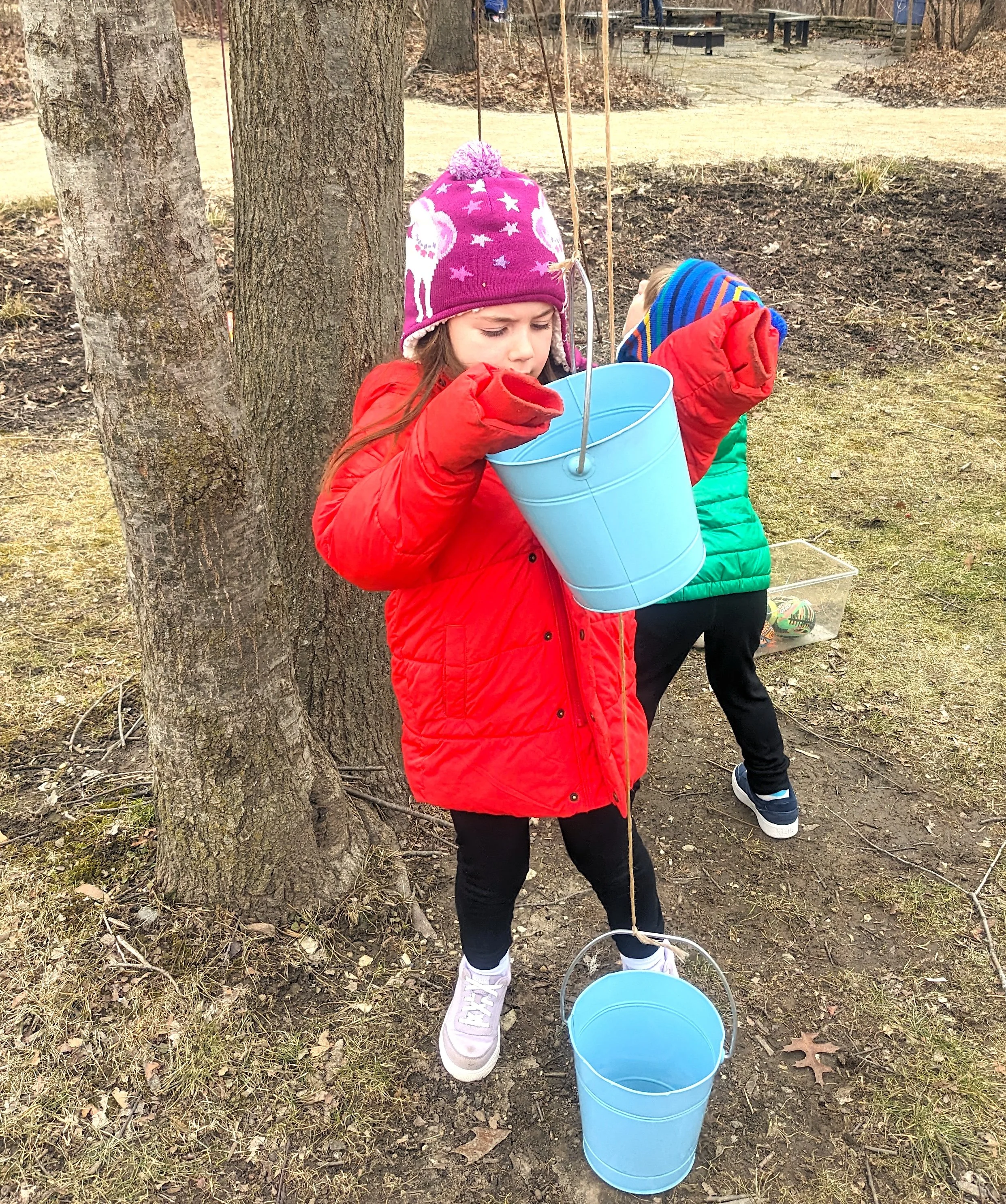 Let's Play! Winter Nature Exploration