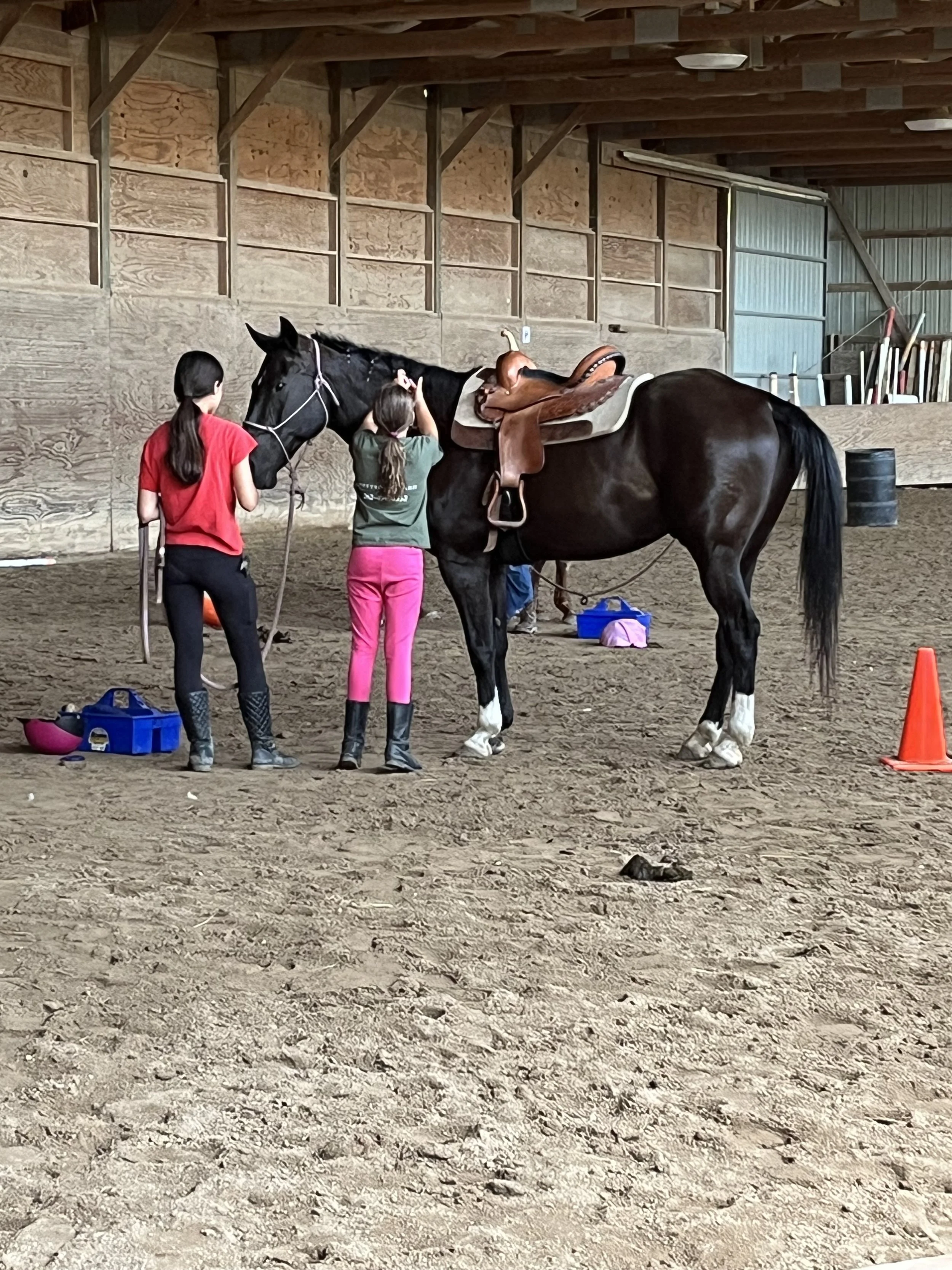 Let's Play! At the Horse Farm