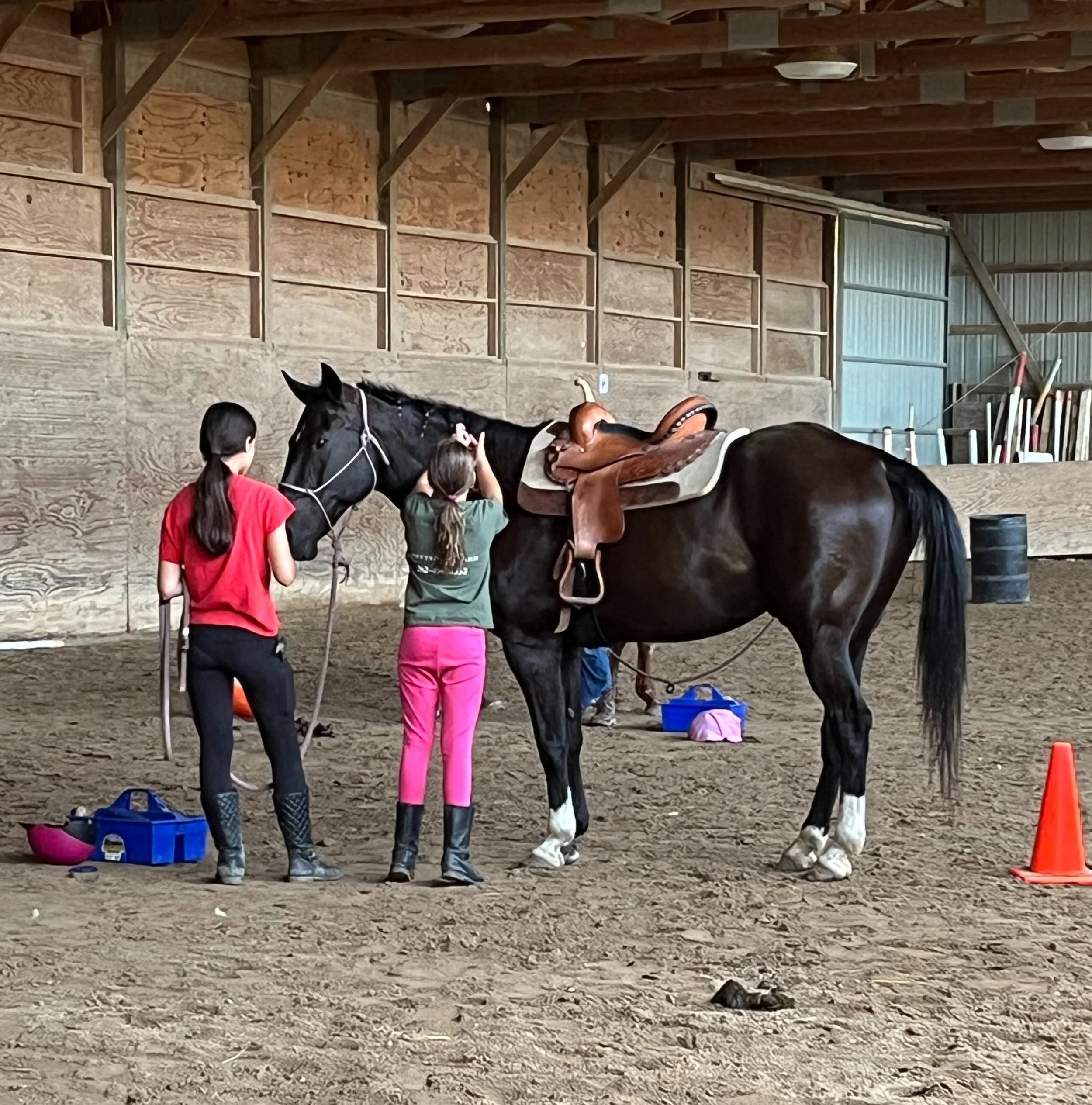 Horses as Teachers: Developing Confidence Through Equine Connection