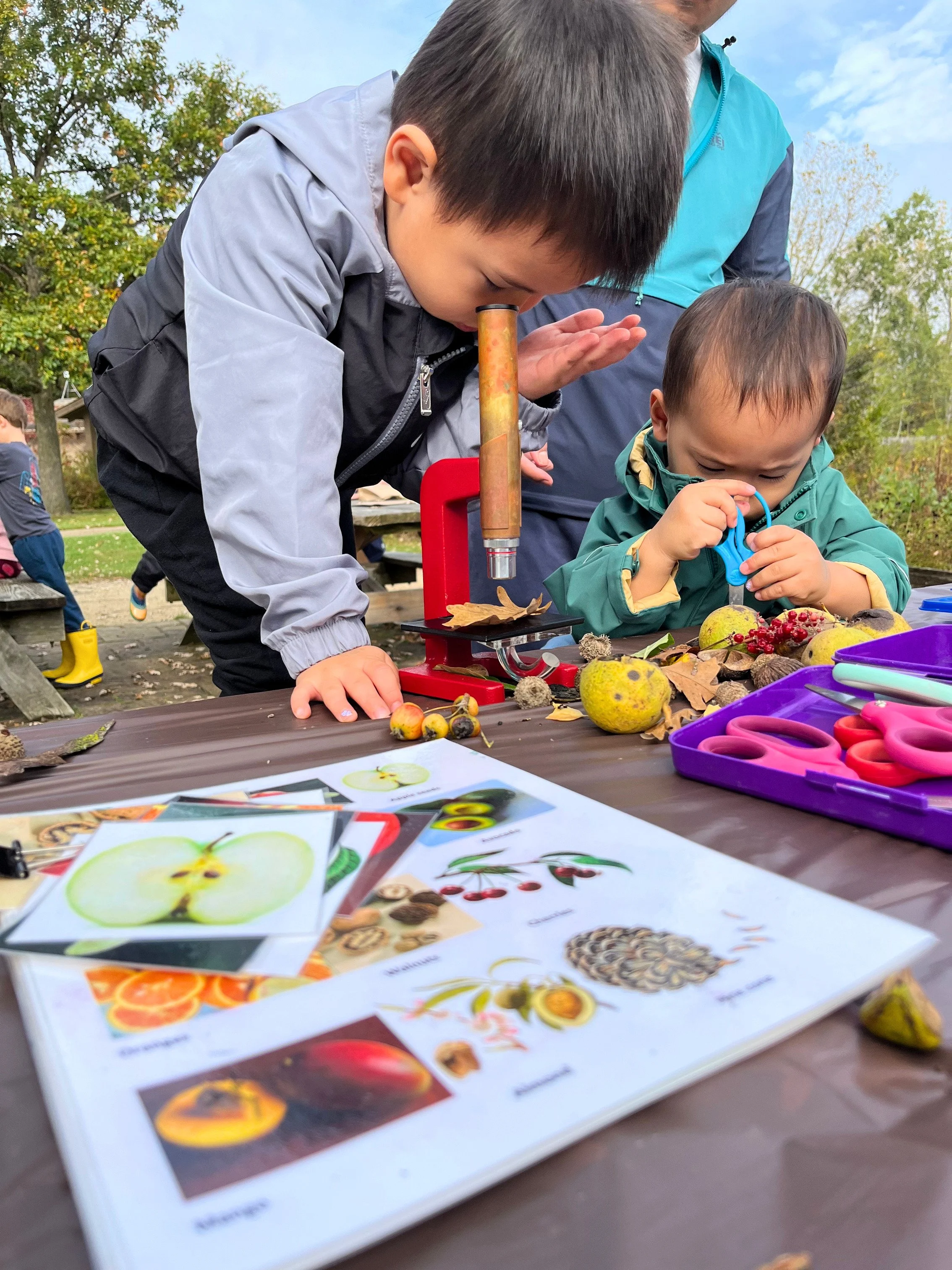 Let's Play! Fall Forest Exploration at Heller Nature Center