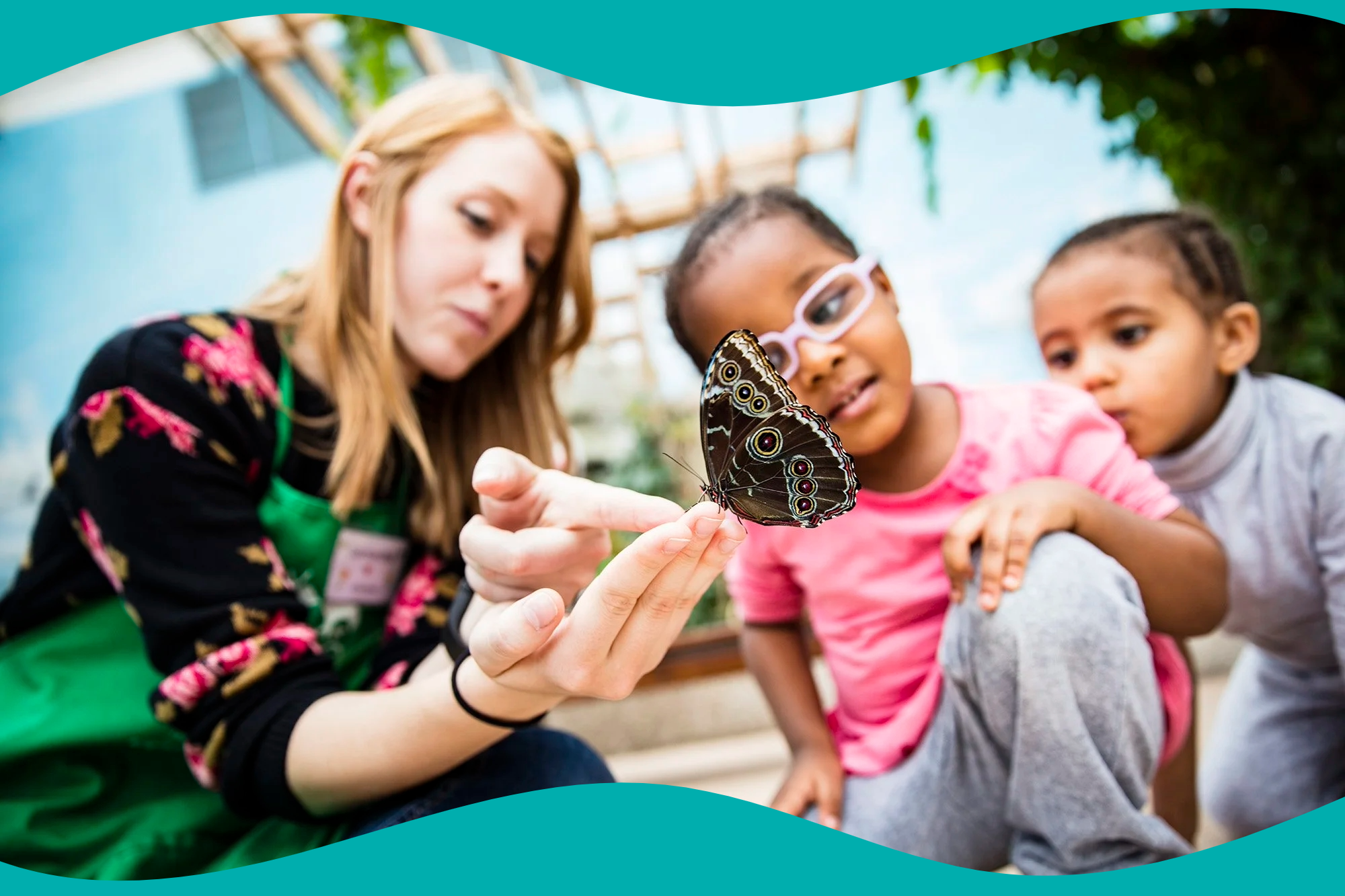 For Educators — The Alliance For Early Childhood