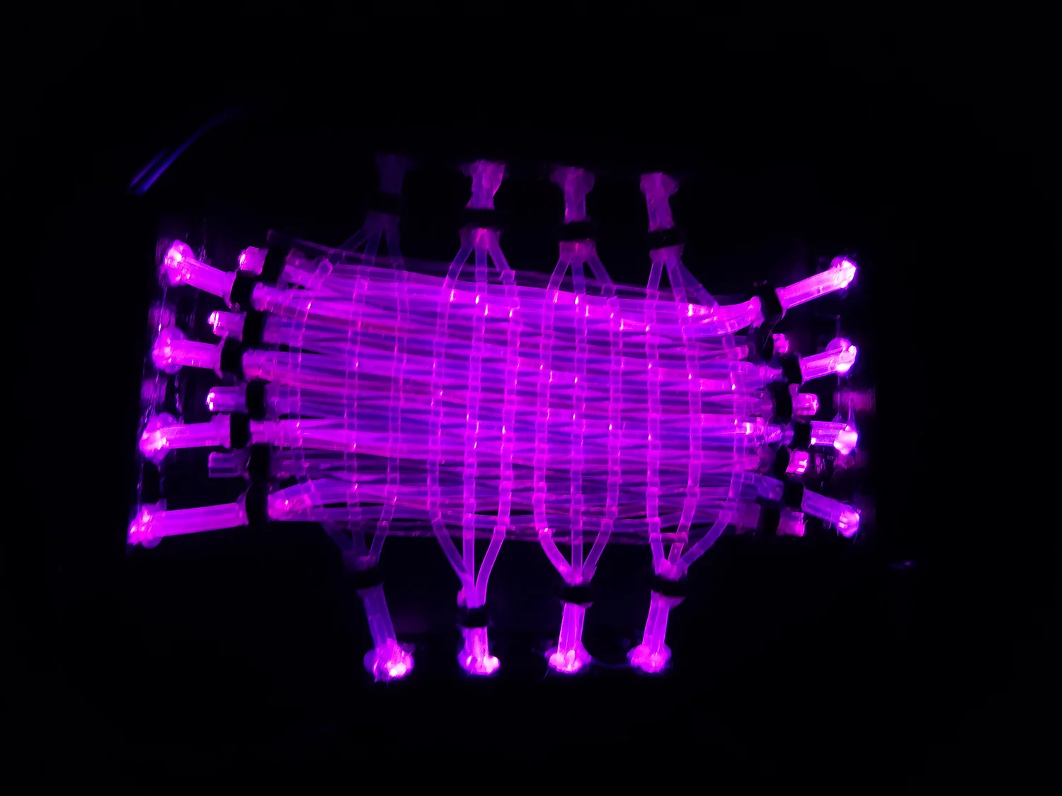 Purple Patch.jpg