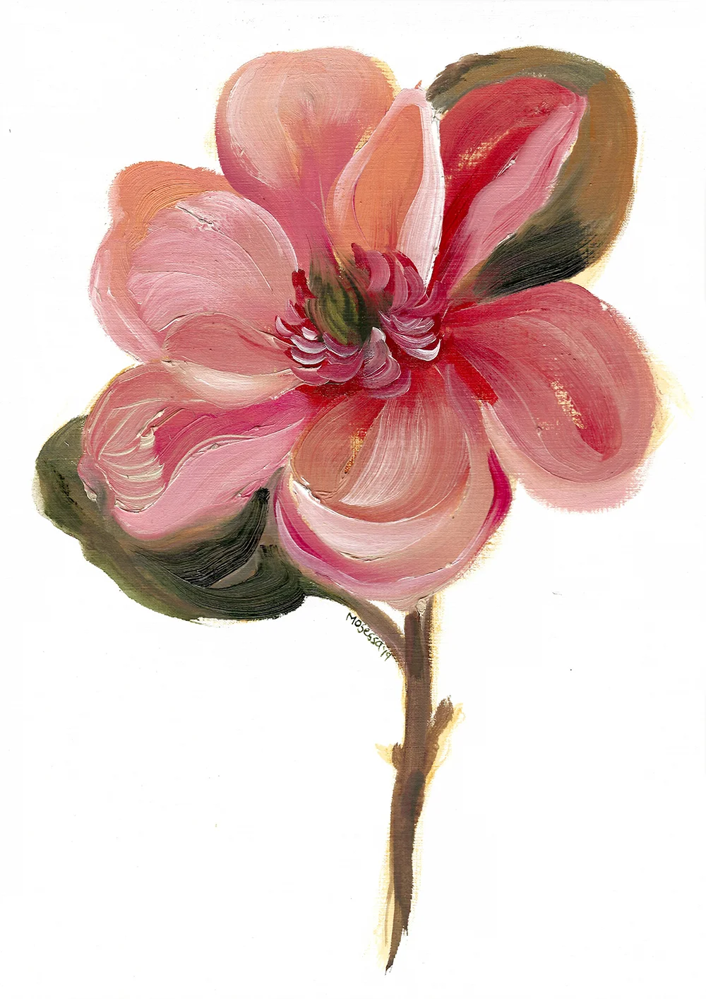 A4-Flora_001.jpg