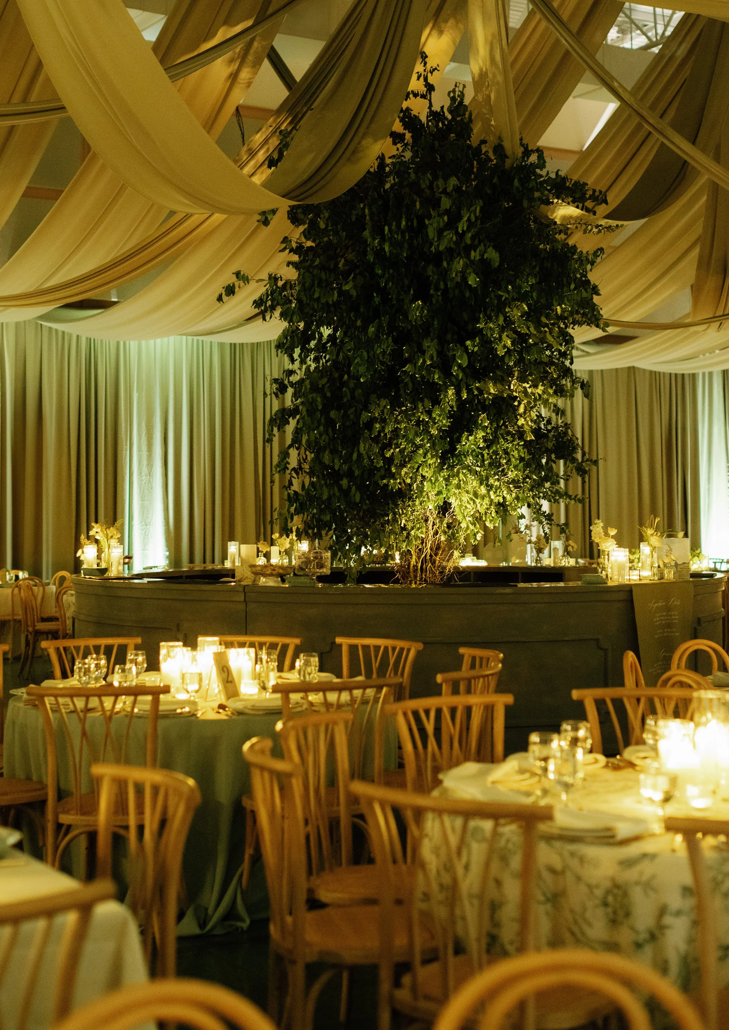 previews-steph-tony-amosleyphoto (103 of 174).jpg