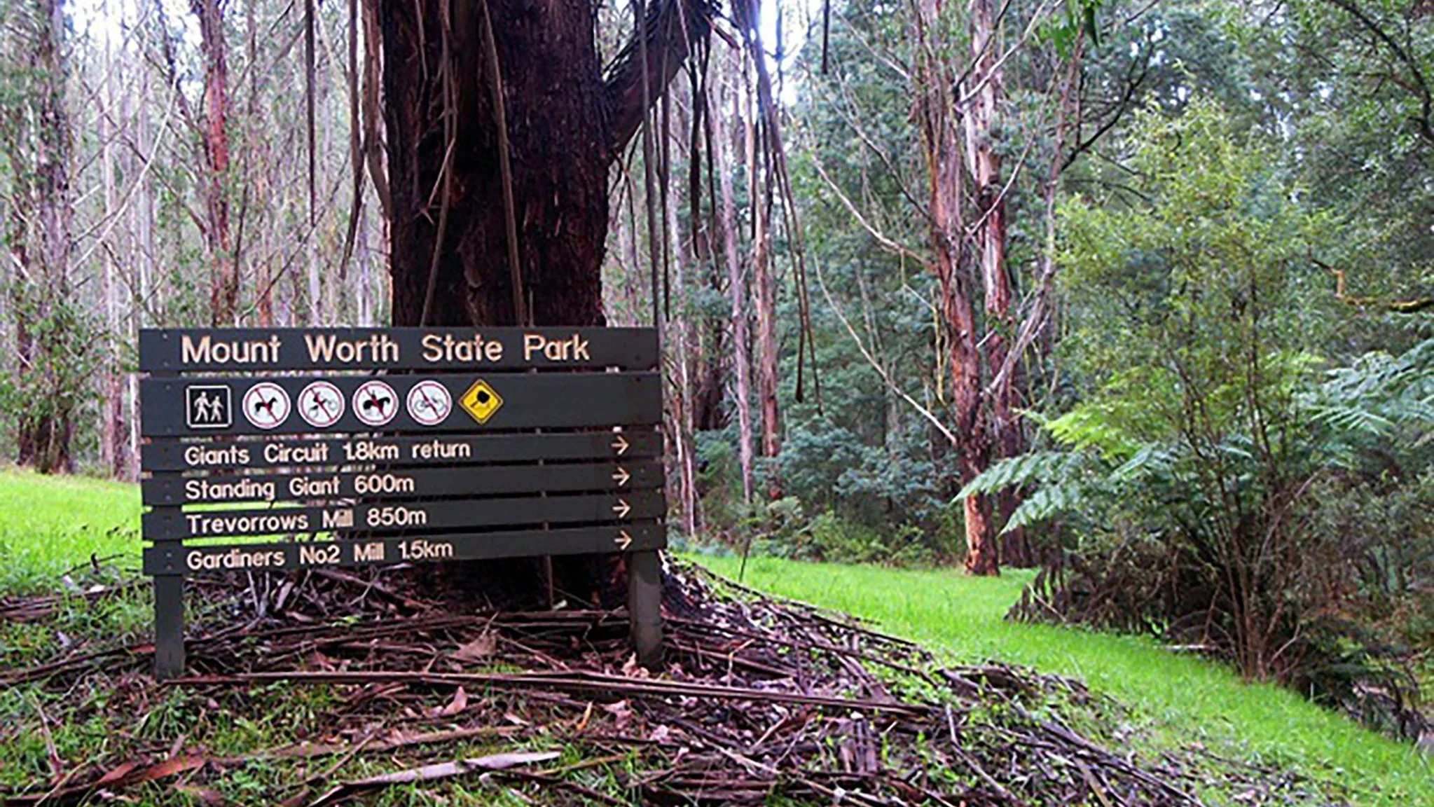 MountWorth_2048X1152.jpeg
