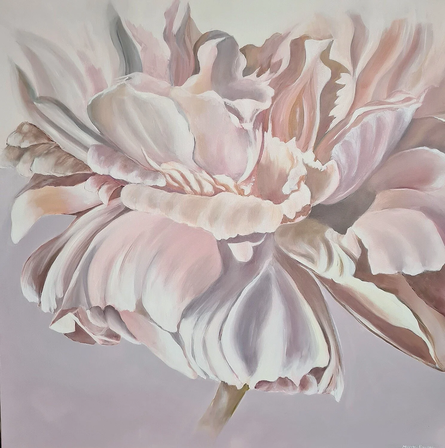 Meron Somers_Feathers 2_91cmx91cm.jpeg