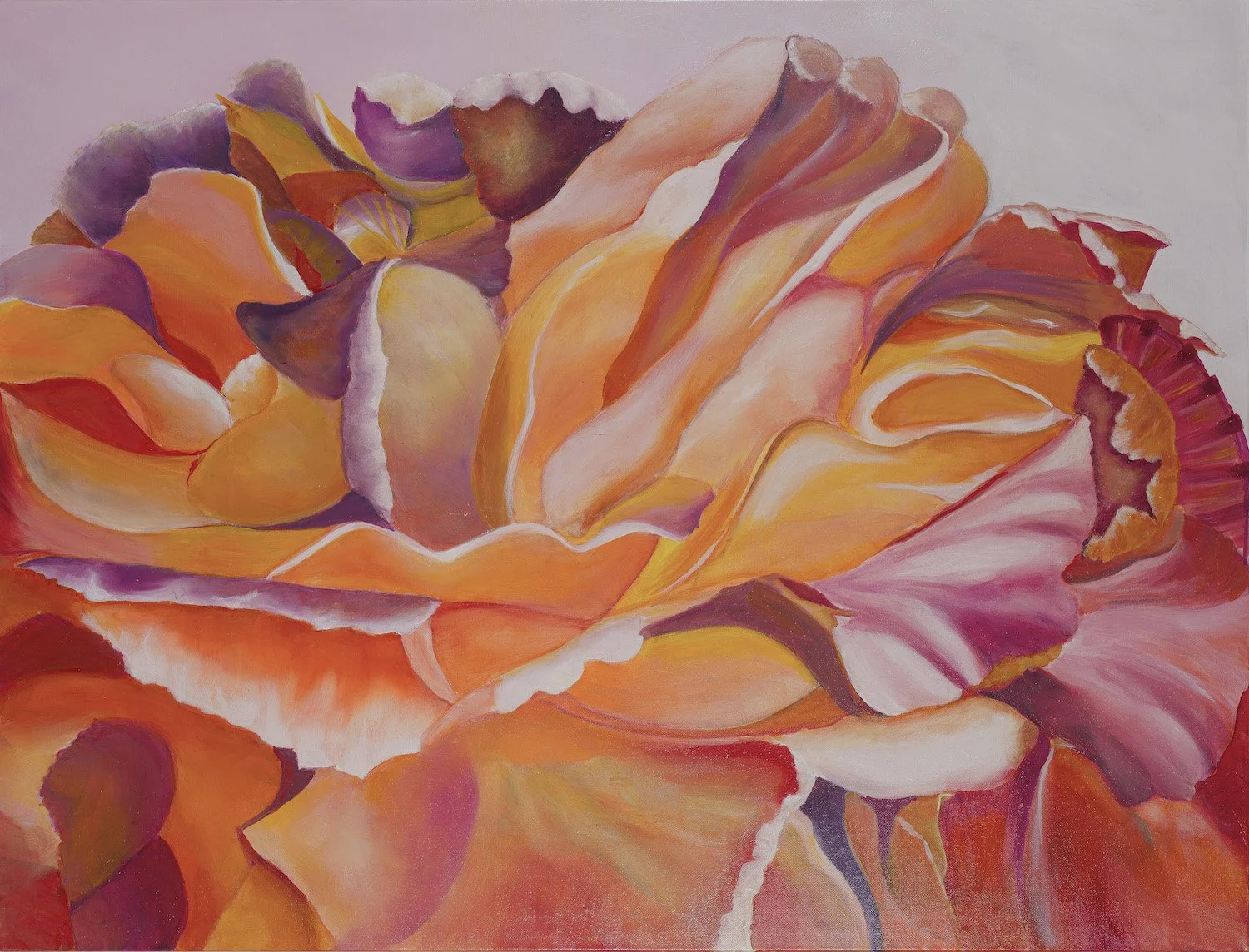 meron-somers_calypso_81x108.jpg