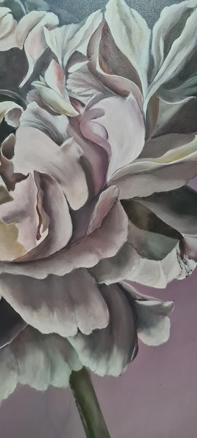 meron-somers_plumage_close-2.jpg