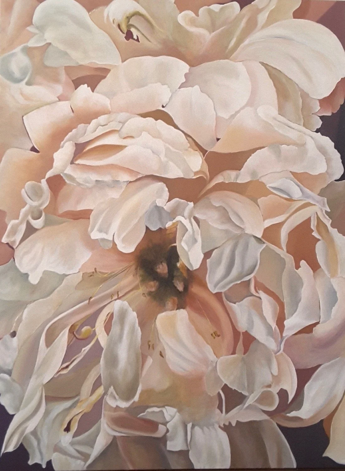 meron-somers_french-rose_91x123.jpg