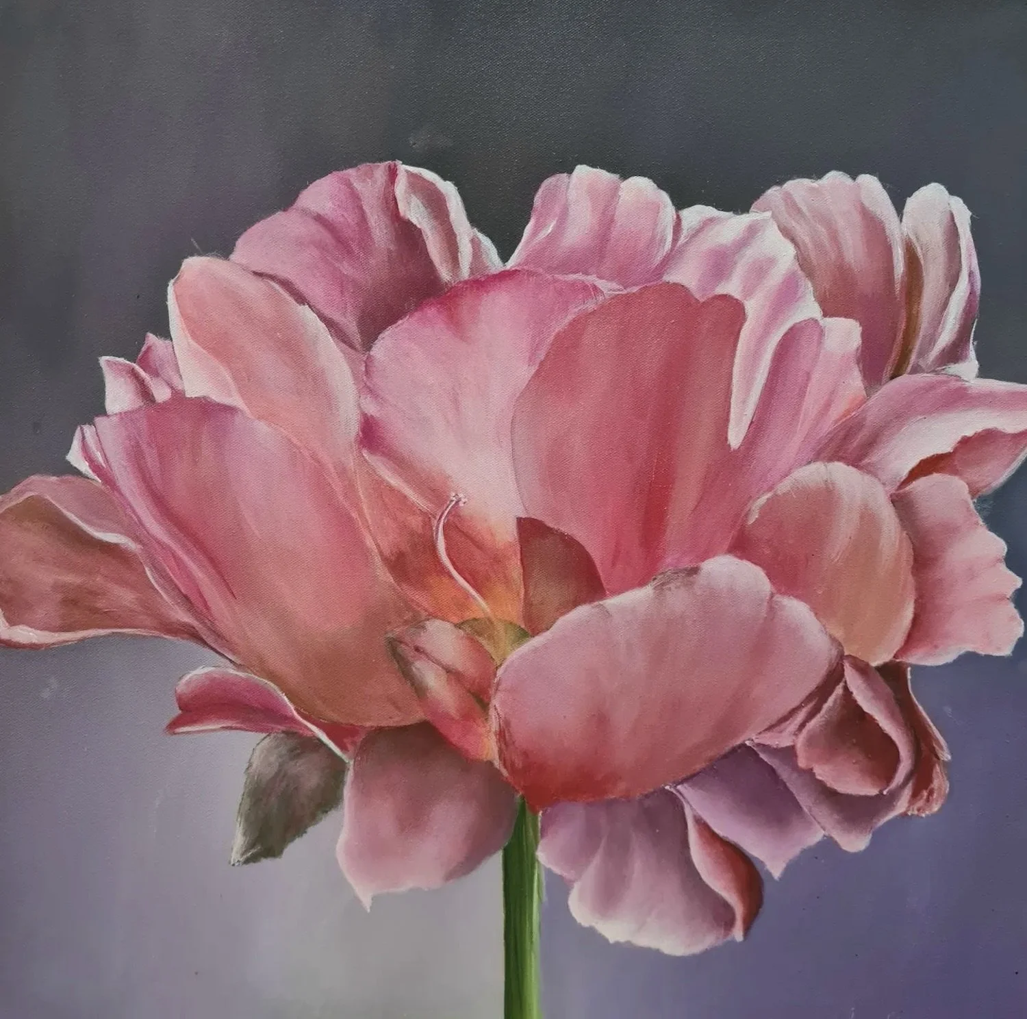 meron-somers_spring-time_56x56.jpg