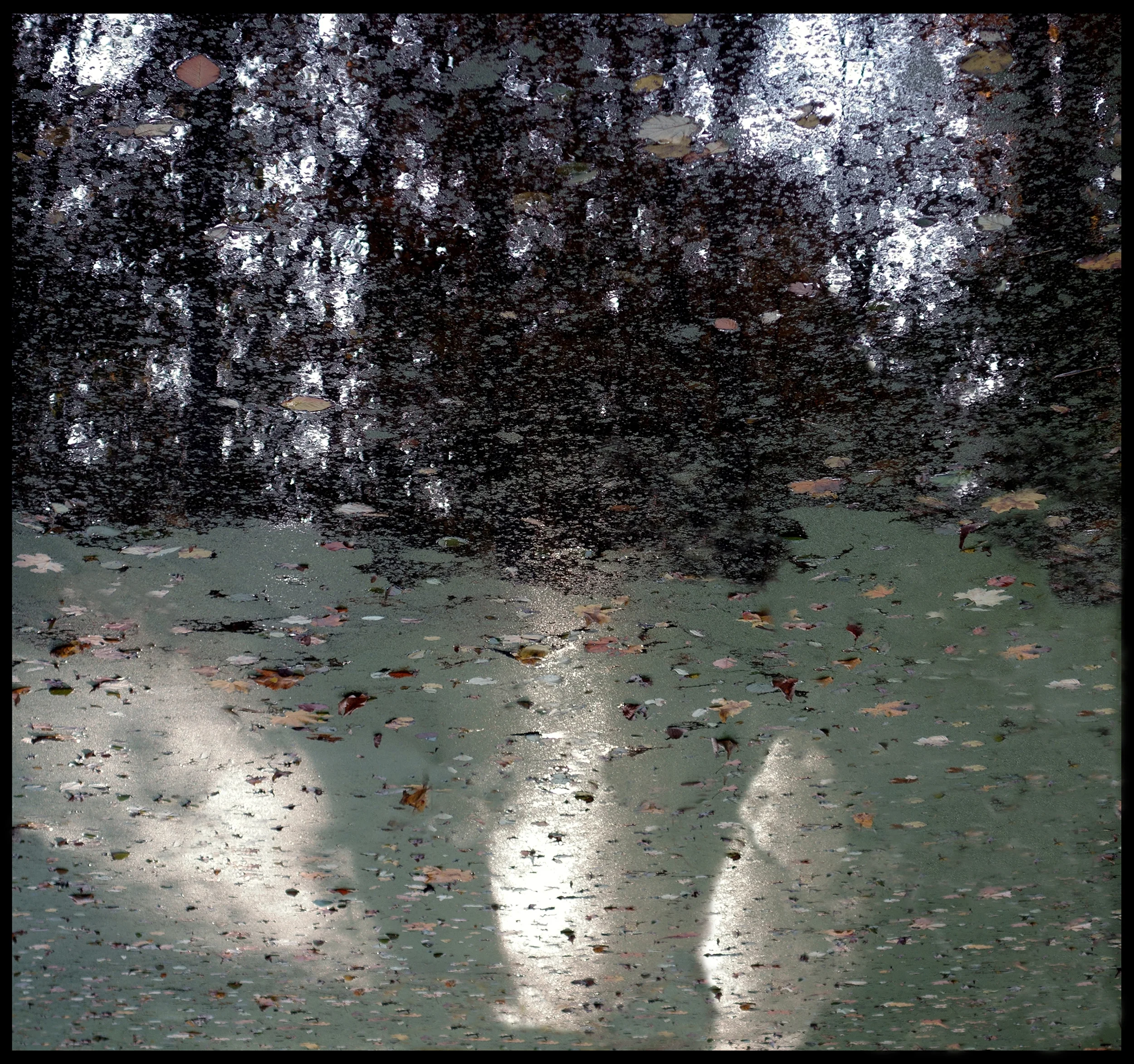 Mirror Landscape 4