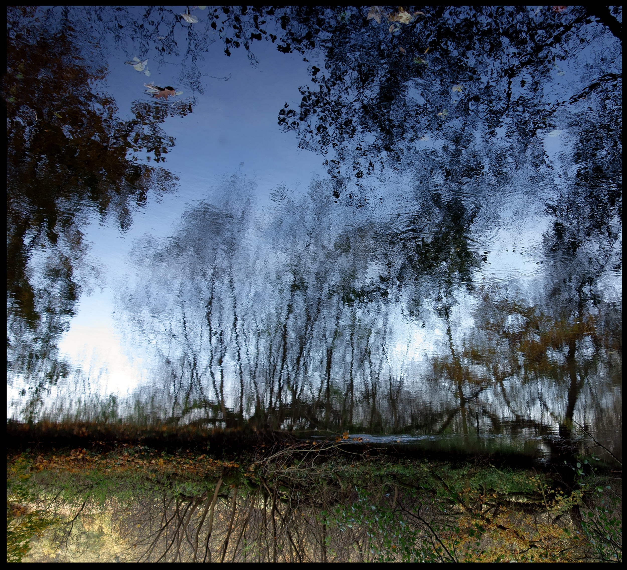 Mirror Landscape 3