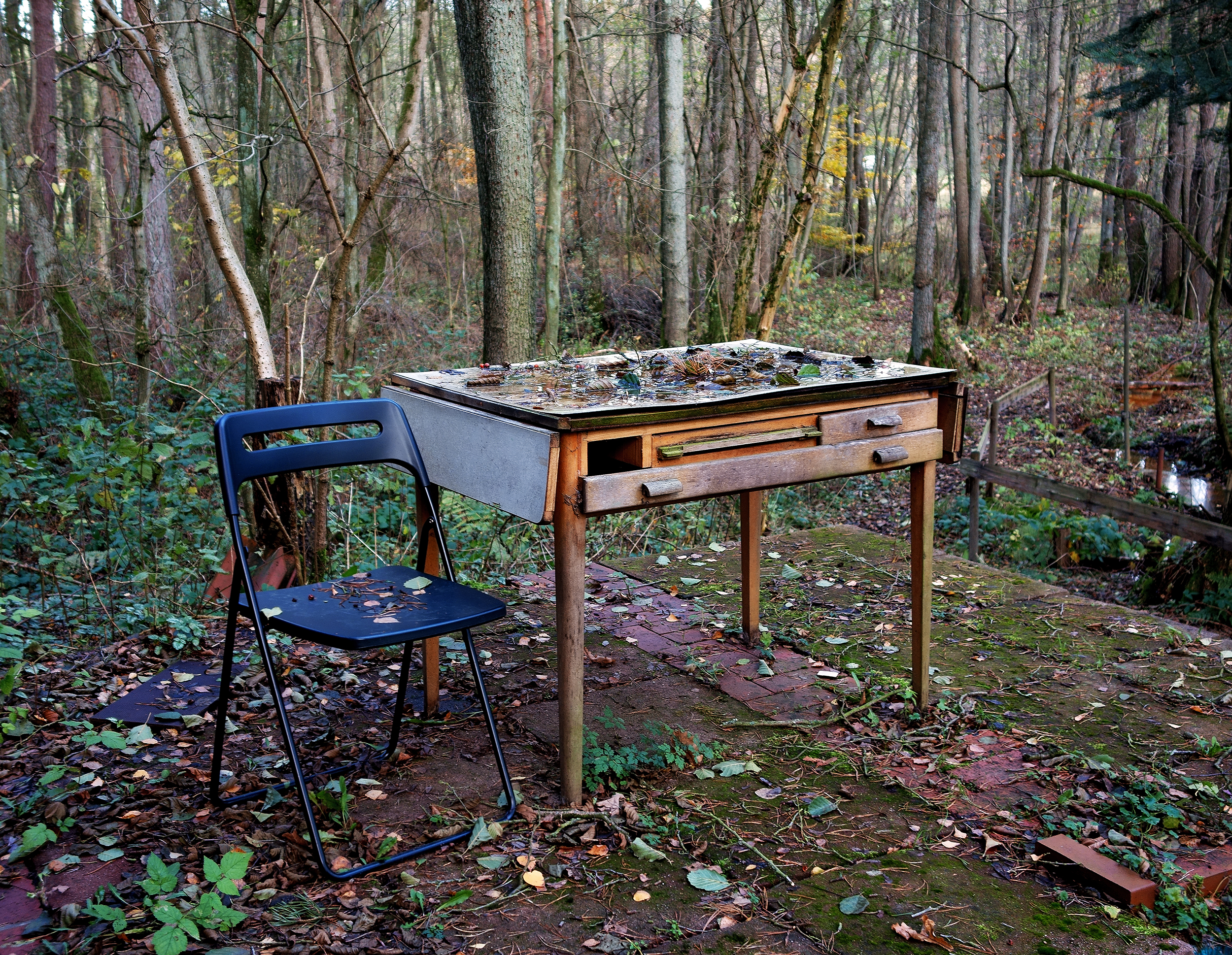 NATURE'S WRITING DESK 