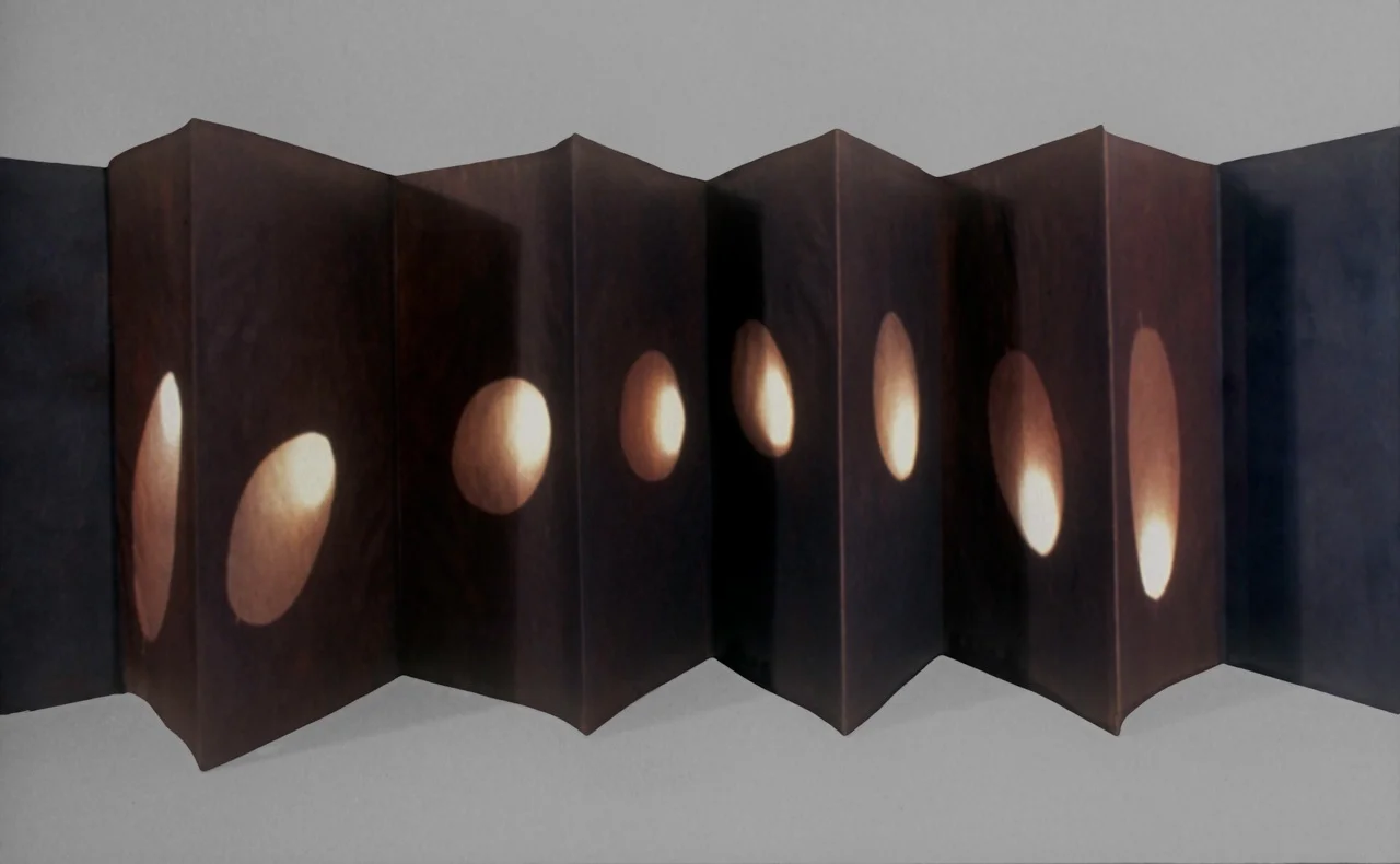 concertina vandyke silver-sun prints, August 1998