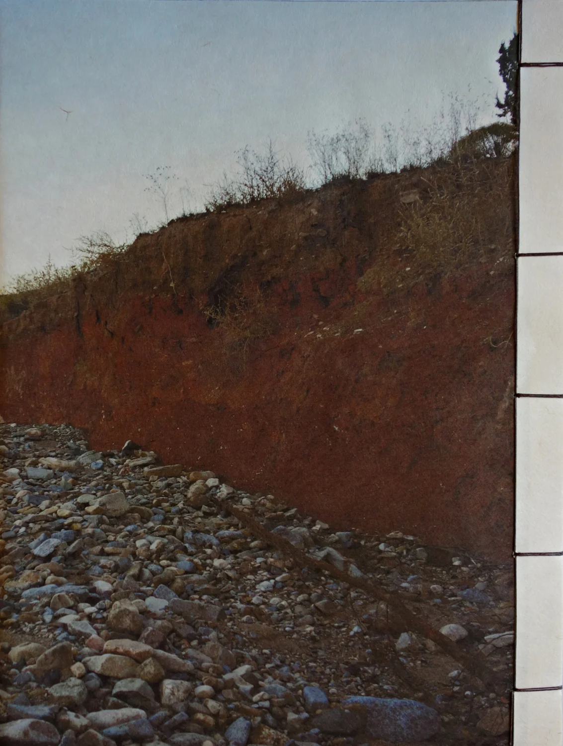 Arroyo Back Cover.jpg