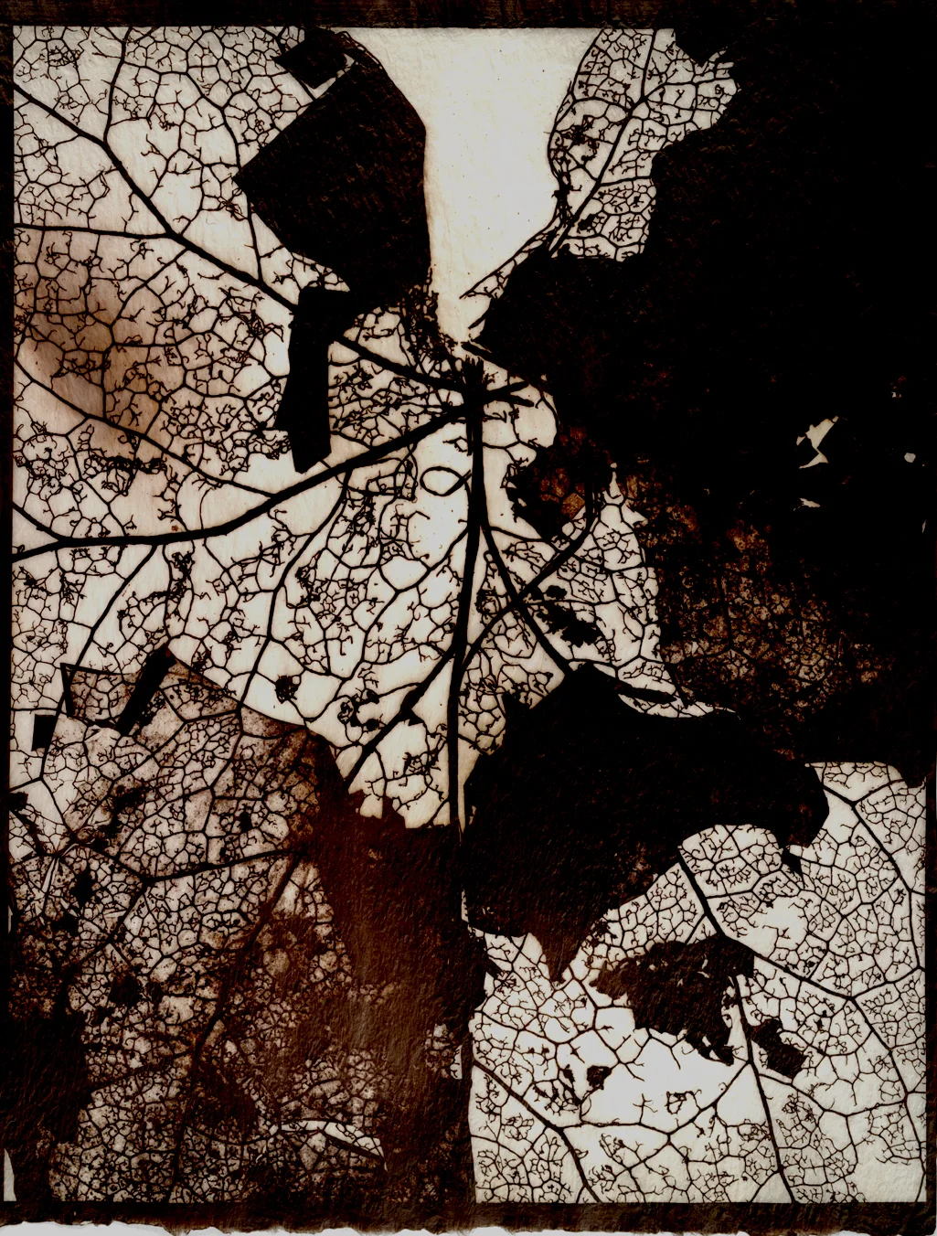 MAP DETAIL