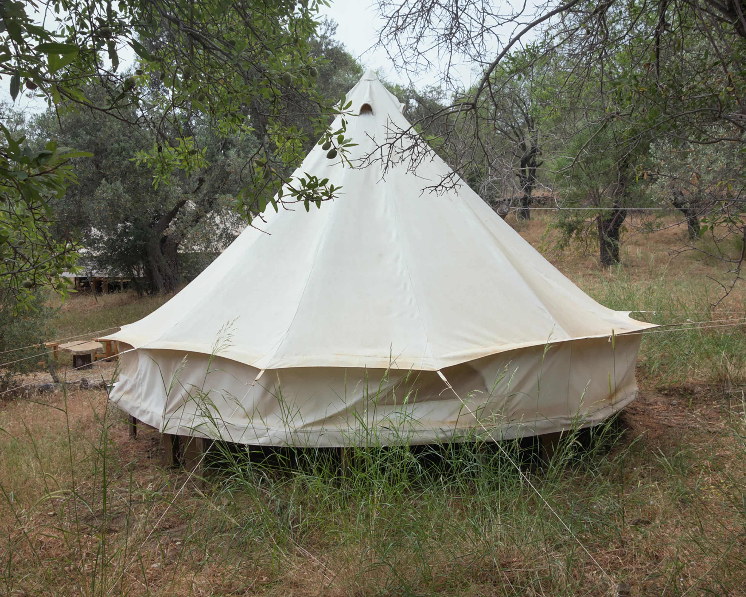 TENT, 2018