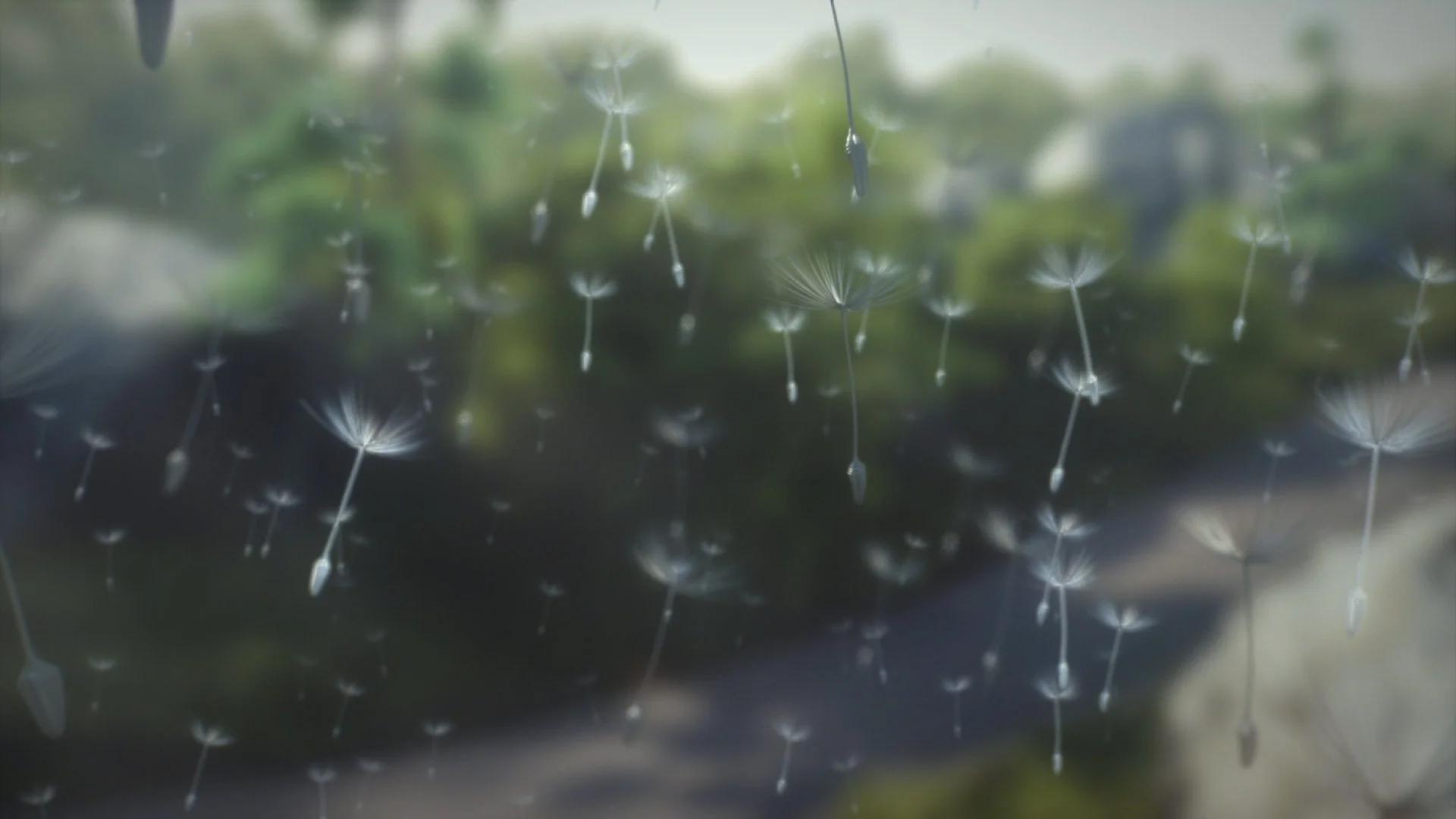 444076319 (0-00-19-19).jpg