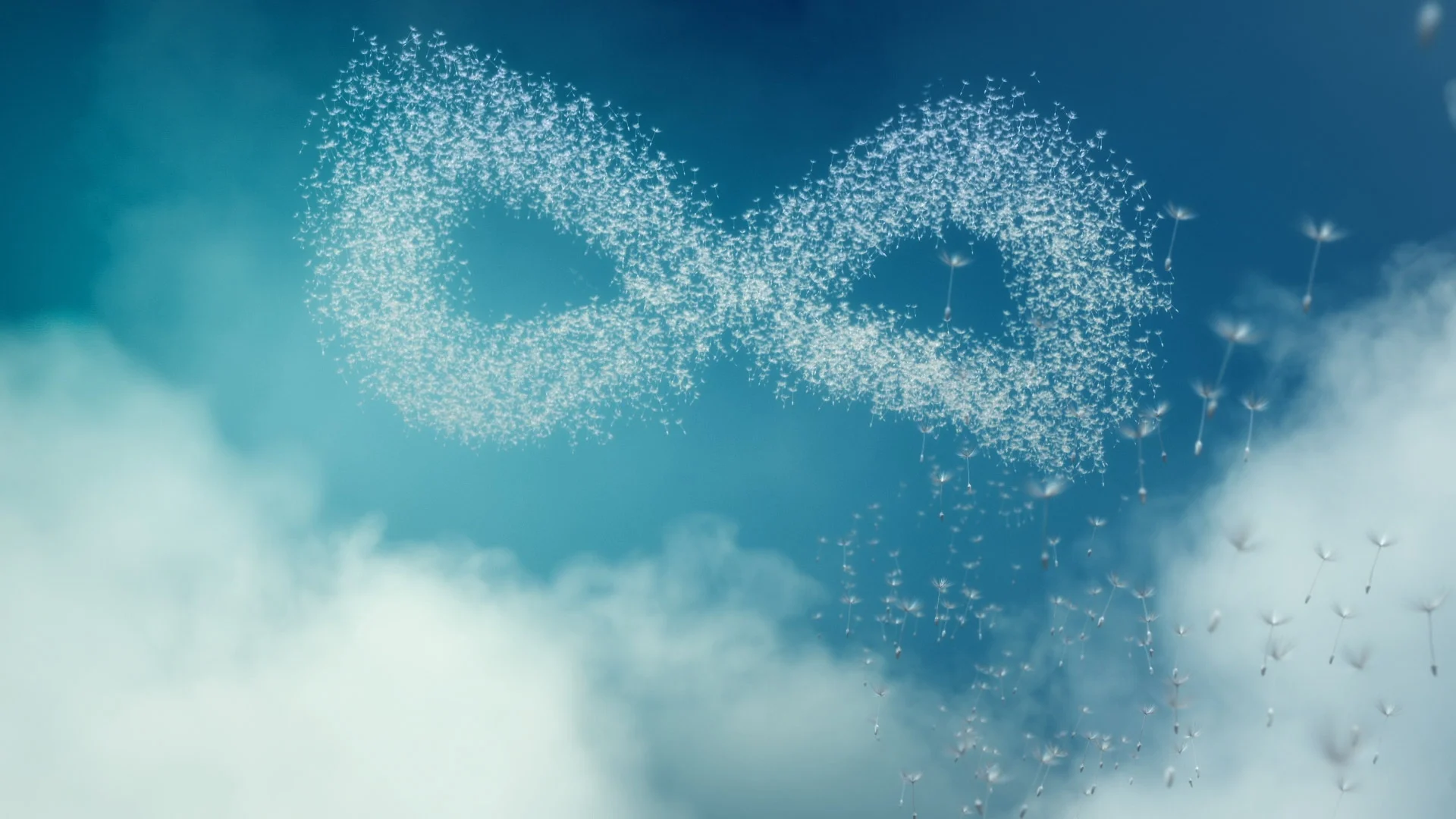 444076319 (0-01-36-11).jpg