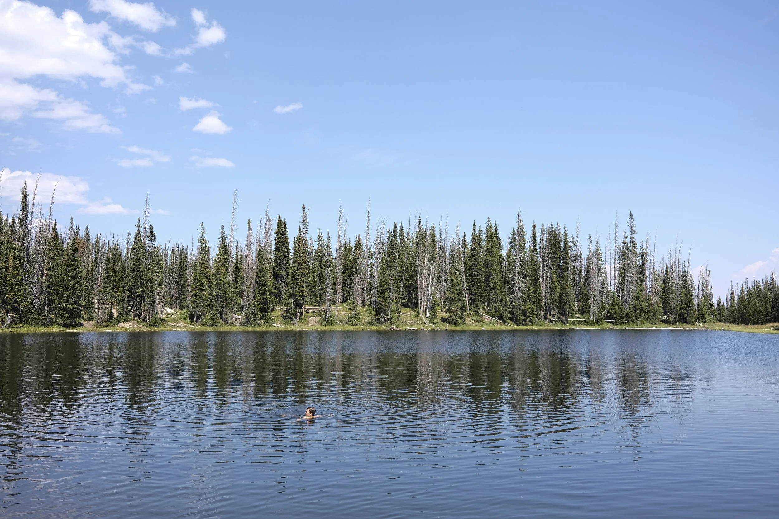 DSCF3720.jpg