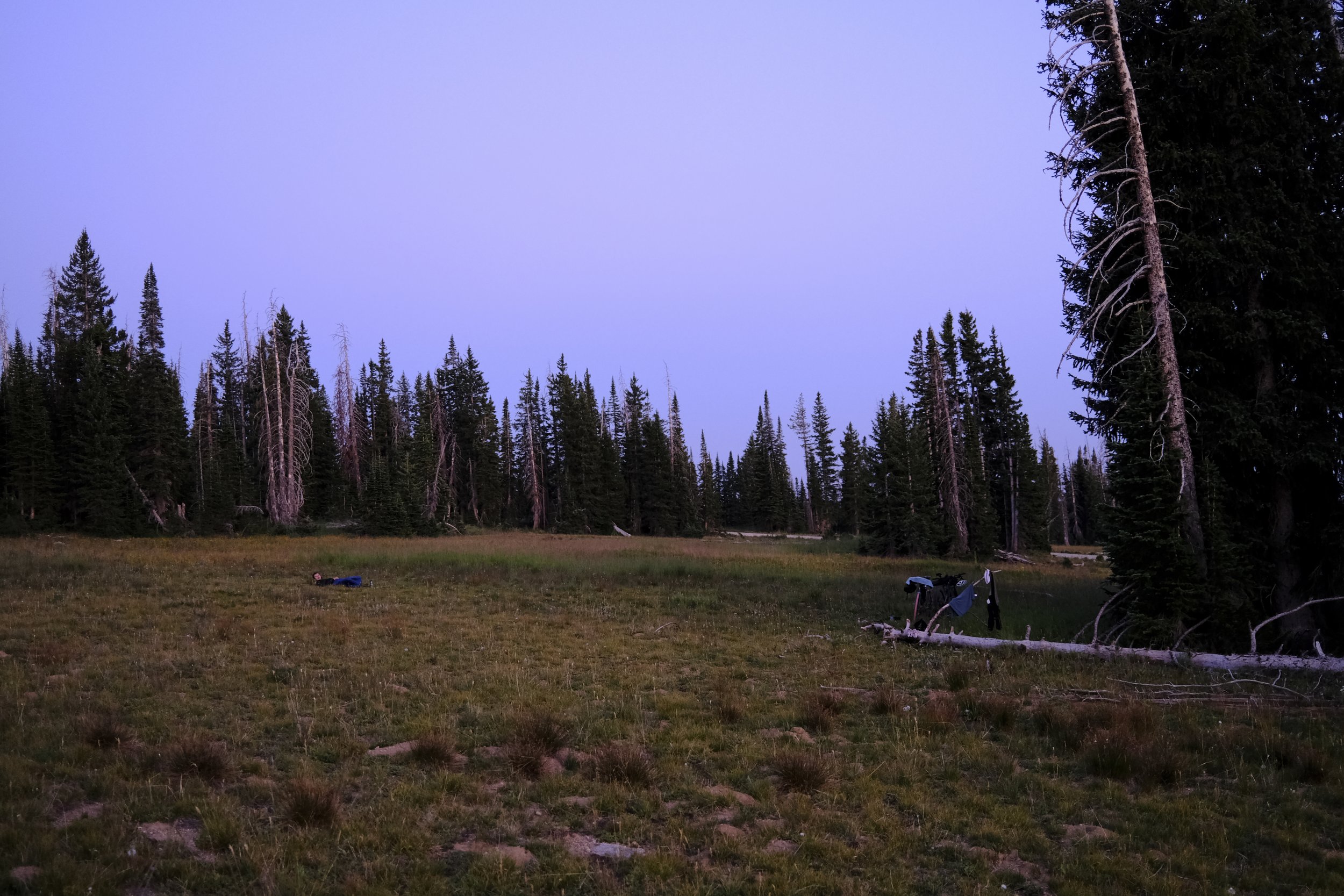 DSCF3747.jpg