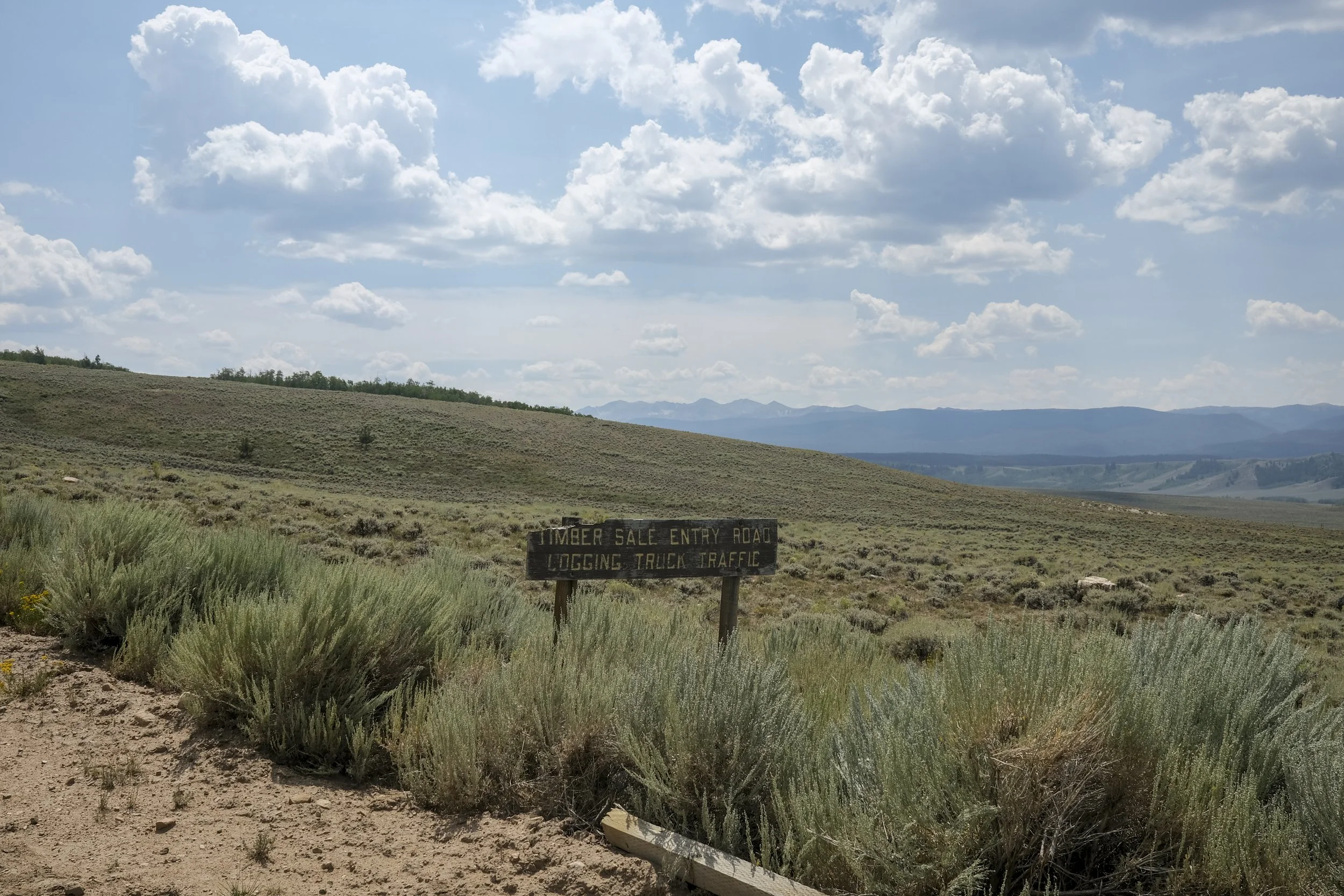 DSCF3933.jpg