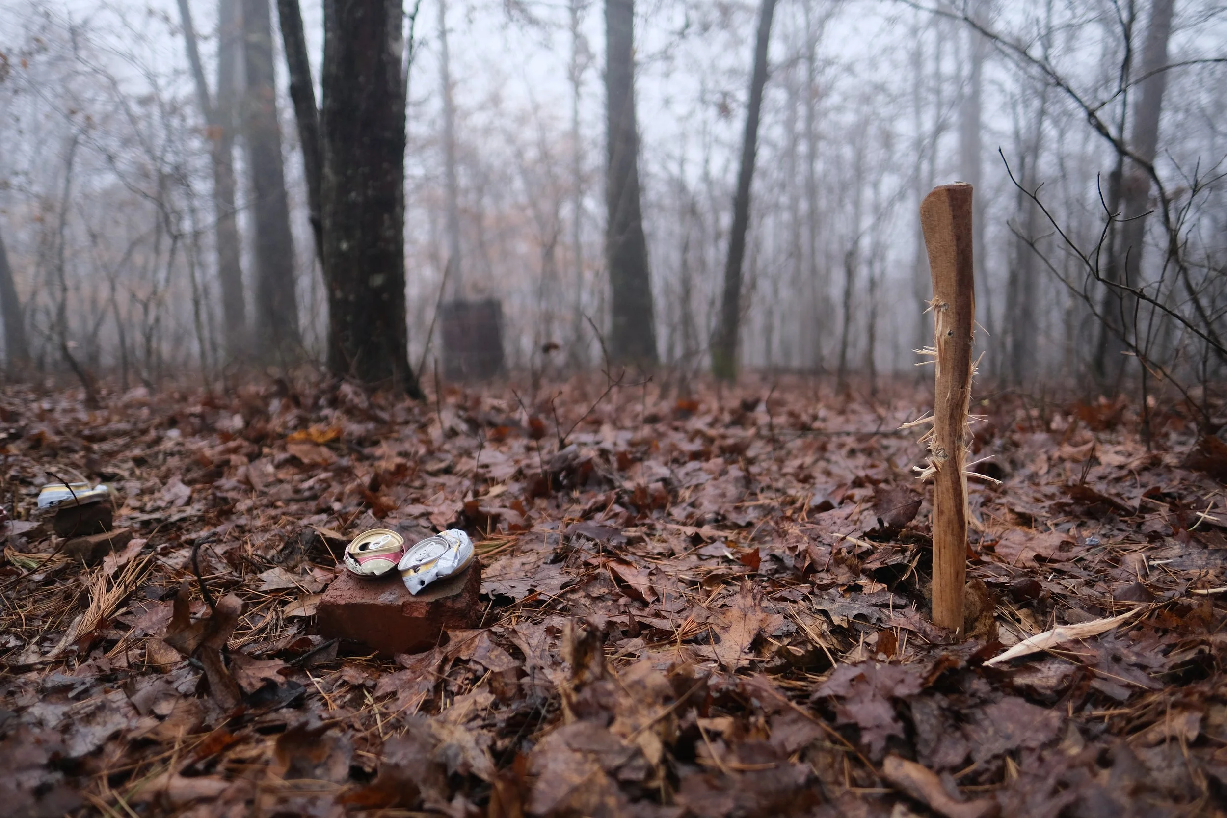  A broken axe handle and cans as our rifle targets. Taken on March 18, 2022, in the Ozark-St. Francis National Forest, Arkansas. 