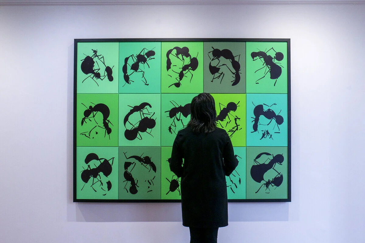 'Fifteen Ants' screenprinted ink on canvas by Tom White