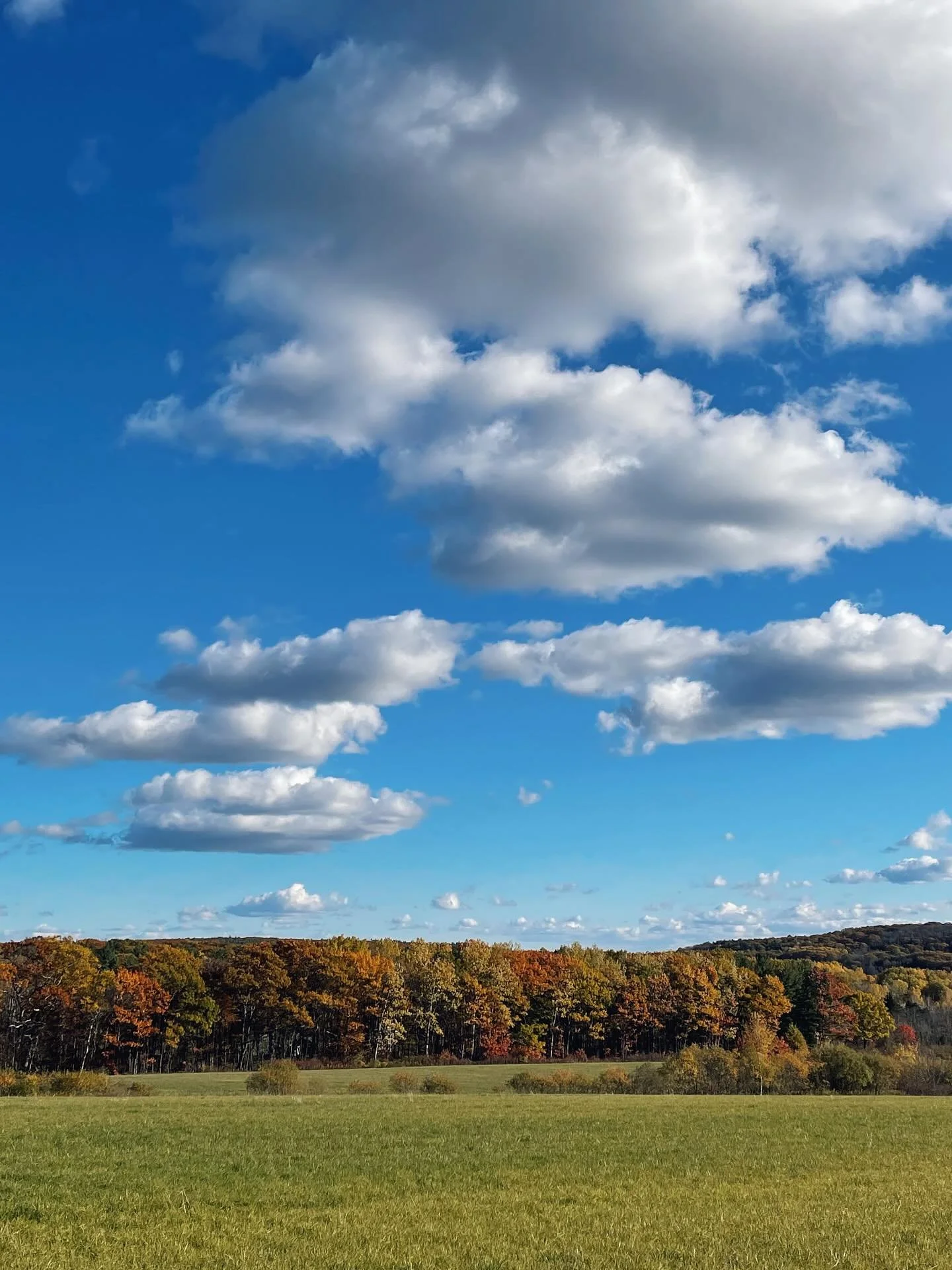 Peace and quiet. #home #fall #upstateny #counteyside