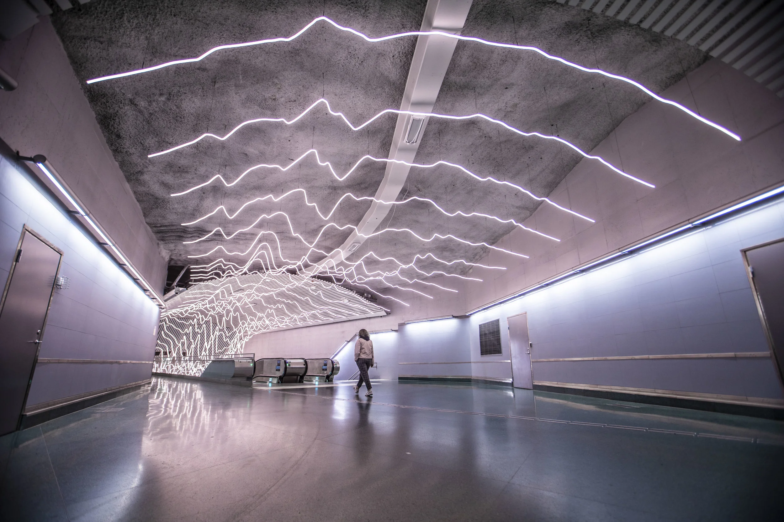 AG0A8231 copyEDTMIN.JPG