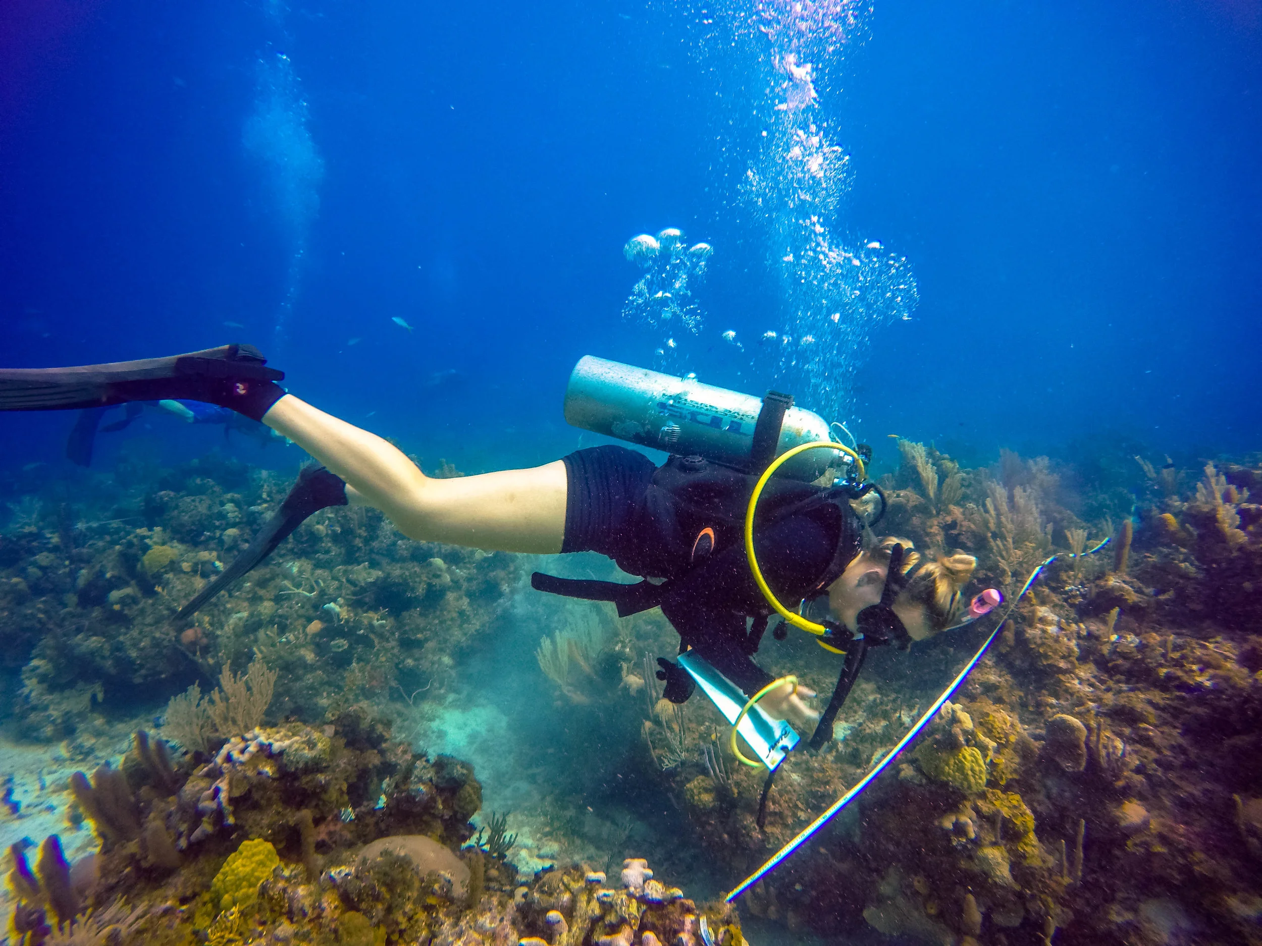 GOPR0793.jpg