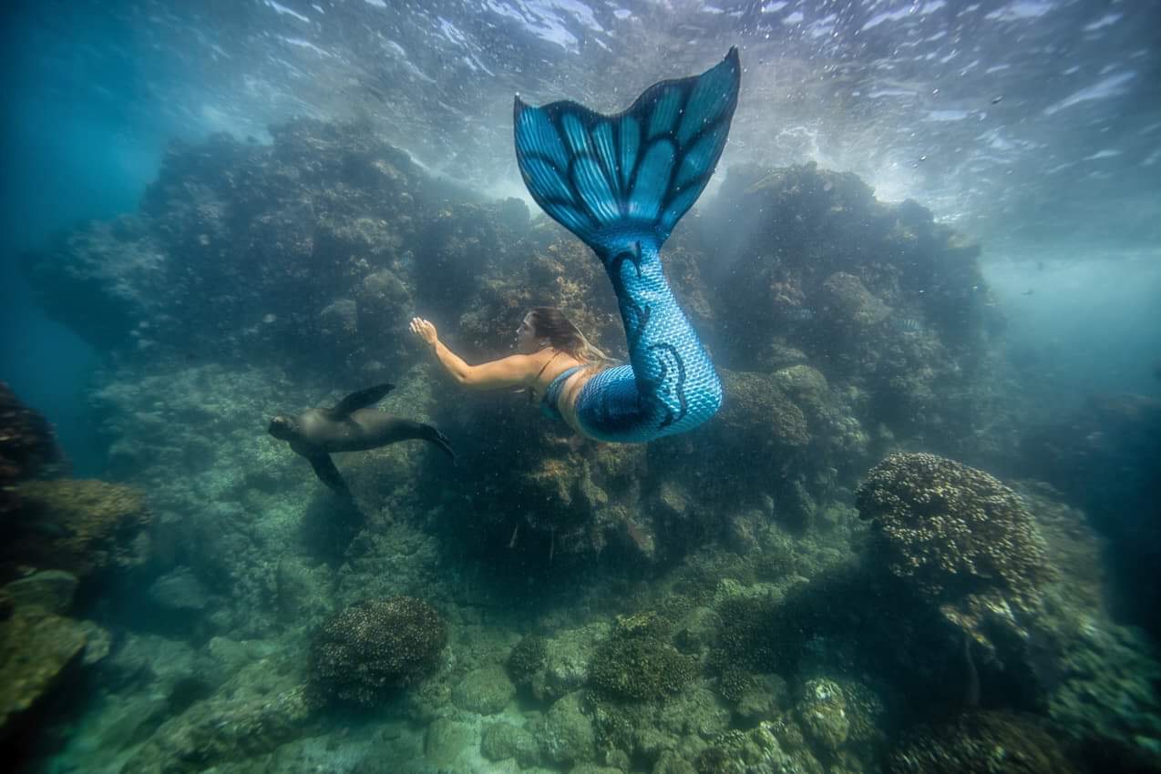 Mermaid Lila swimming with a curious California Sea Lion in La Paz, Mexico. Photo by Cassie Pali ( @Casafras_h2o ).