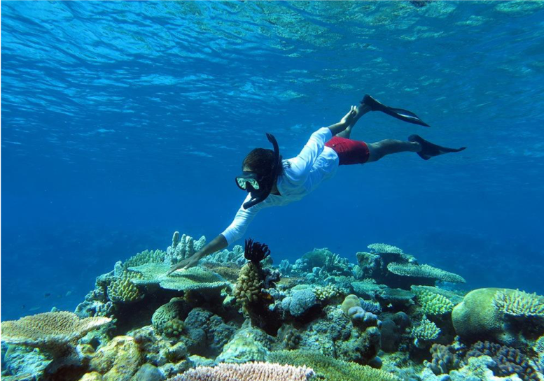 Welcome — WOMEN IN OCEAN SCIENCE