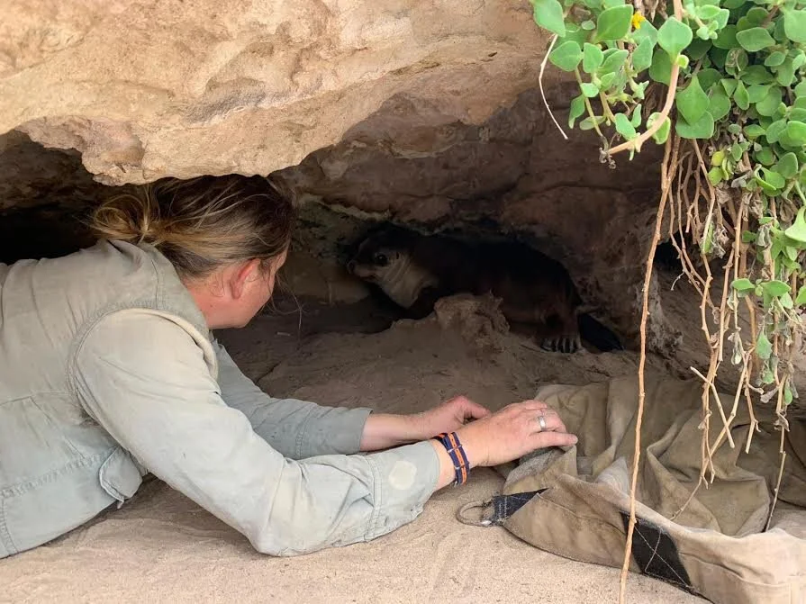 Dr. Rachel Gray and her camera shy friend (Photo Credit: Dr. Rachel Gray)