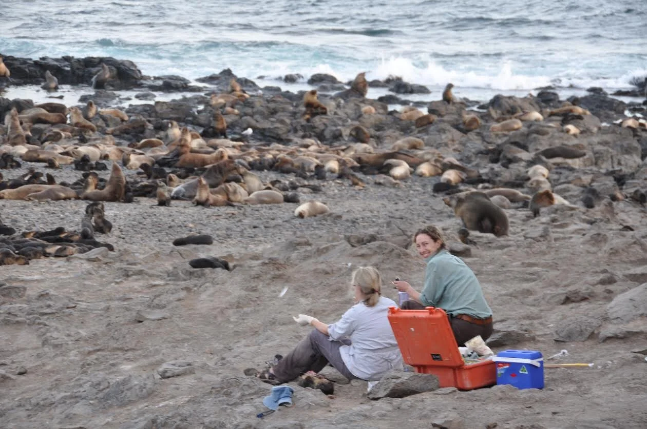 Dr. McIntosh and Dr. Gray enjoying the view (Photo Credit: Dr. McIntosh)
