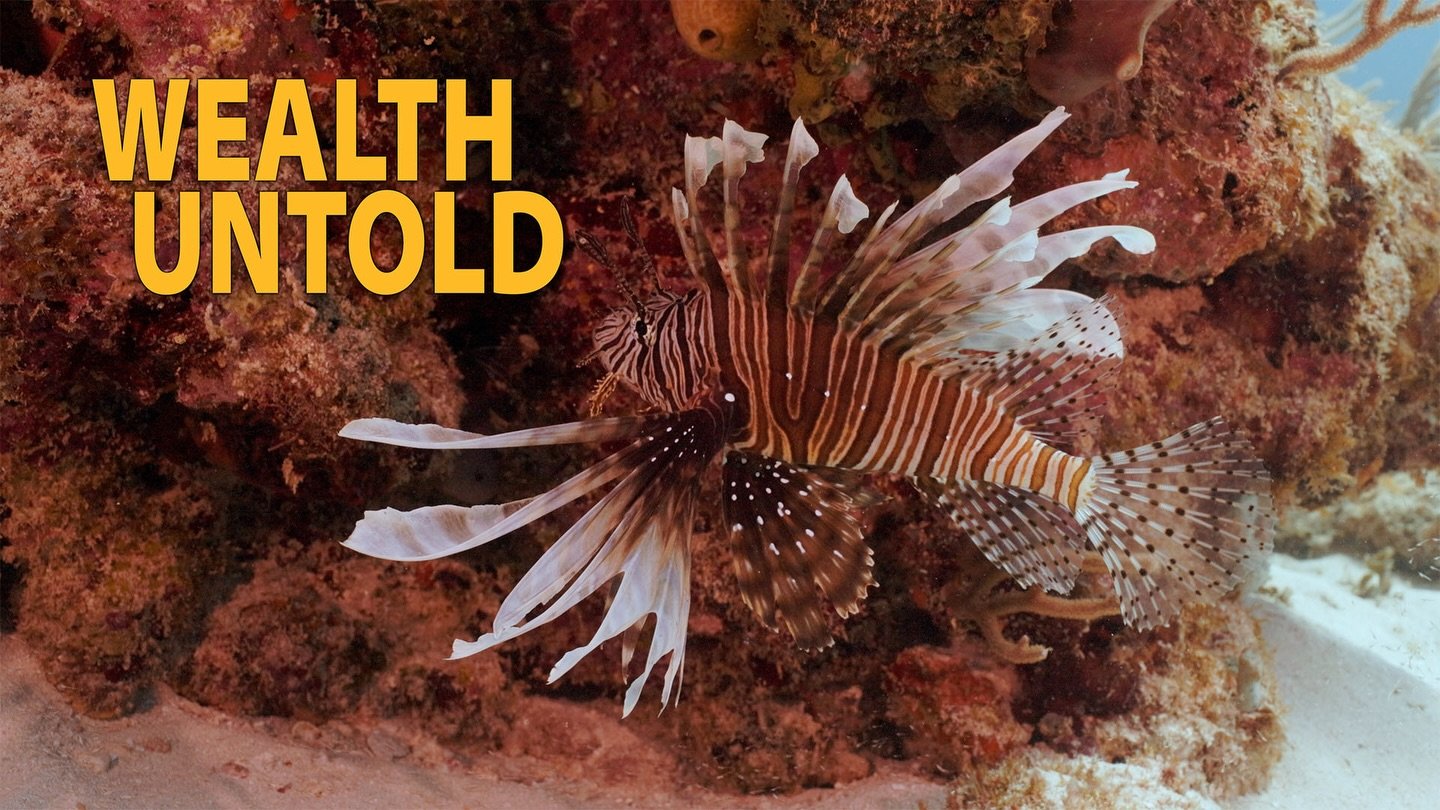 The Global Online Premiere of Wealth Untold is now officially LIVE!

Watch now on our members page https://www.womeninoceanscience.com/films

Available until the 15th of March!

Following its prestigious in-person screening at last year&rsquo;s Unite