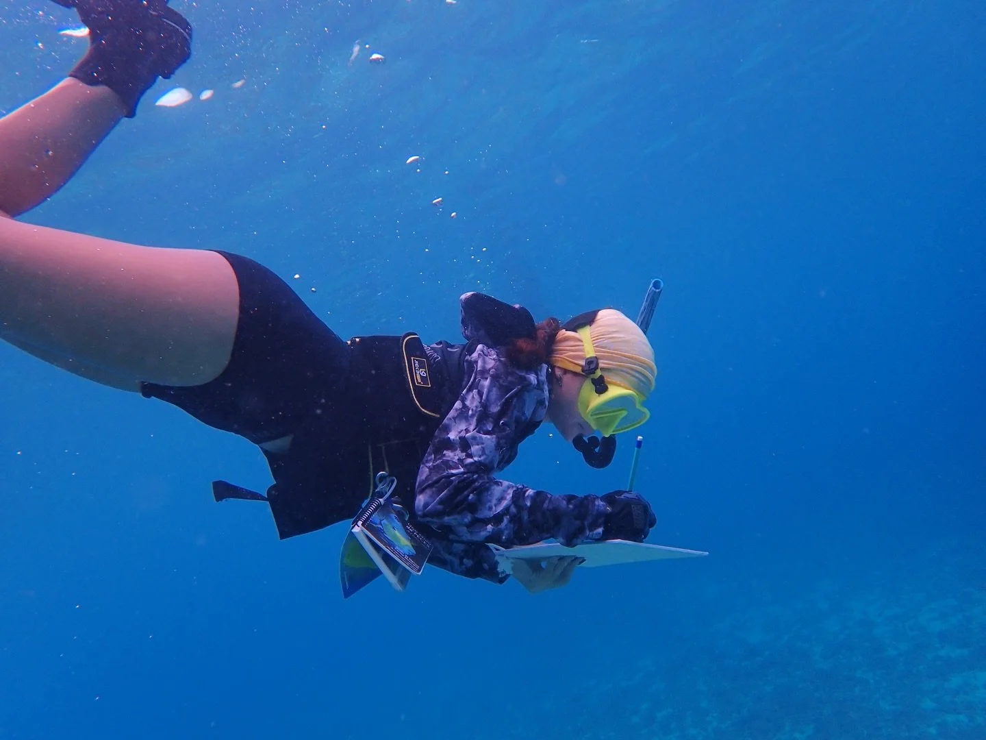 Marina (@biomar.con.mar ) began her journey into the ocean at the age of ten, when diving first opened the door to an underwater world that immediately captivated her. From the very beginning, coral reefs became a source of endless fascination&mdash;