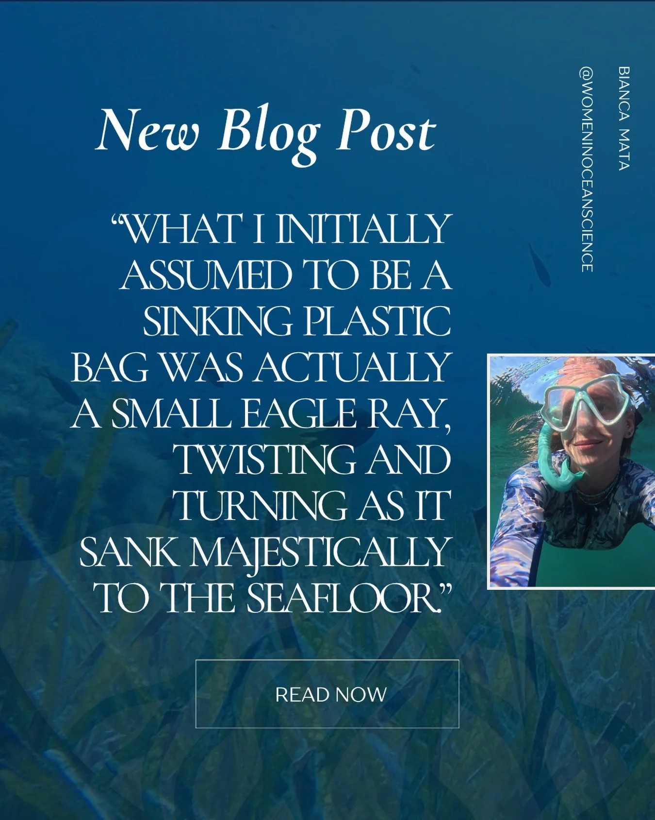 🎣&nbsp; A View to Remember: The Hidden Cost of Fishing Activities 🎣&nbsp;
 
&ldquo;Something quite eerie and unsettling started to unfold before my eyes. A white object was swaying in the depths.&ldquo;

In our newest blog post, Bianca Mata writes 