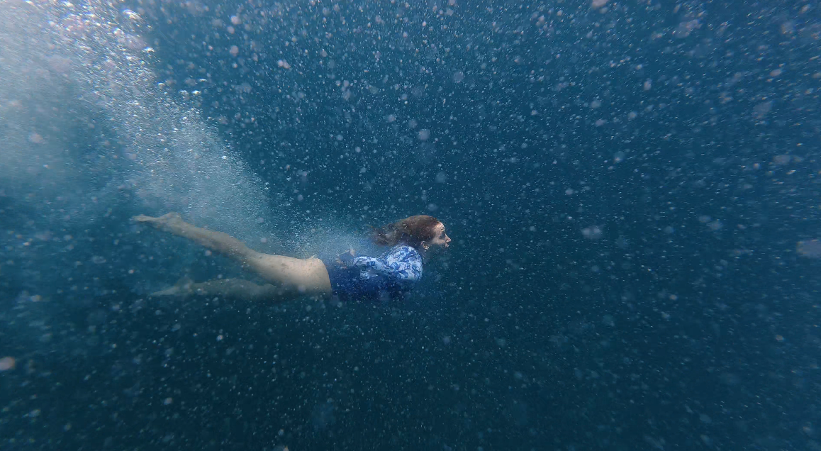 A View to Remember: The Hidden Cost of Fishing Activities