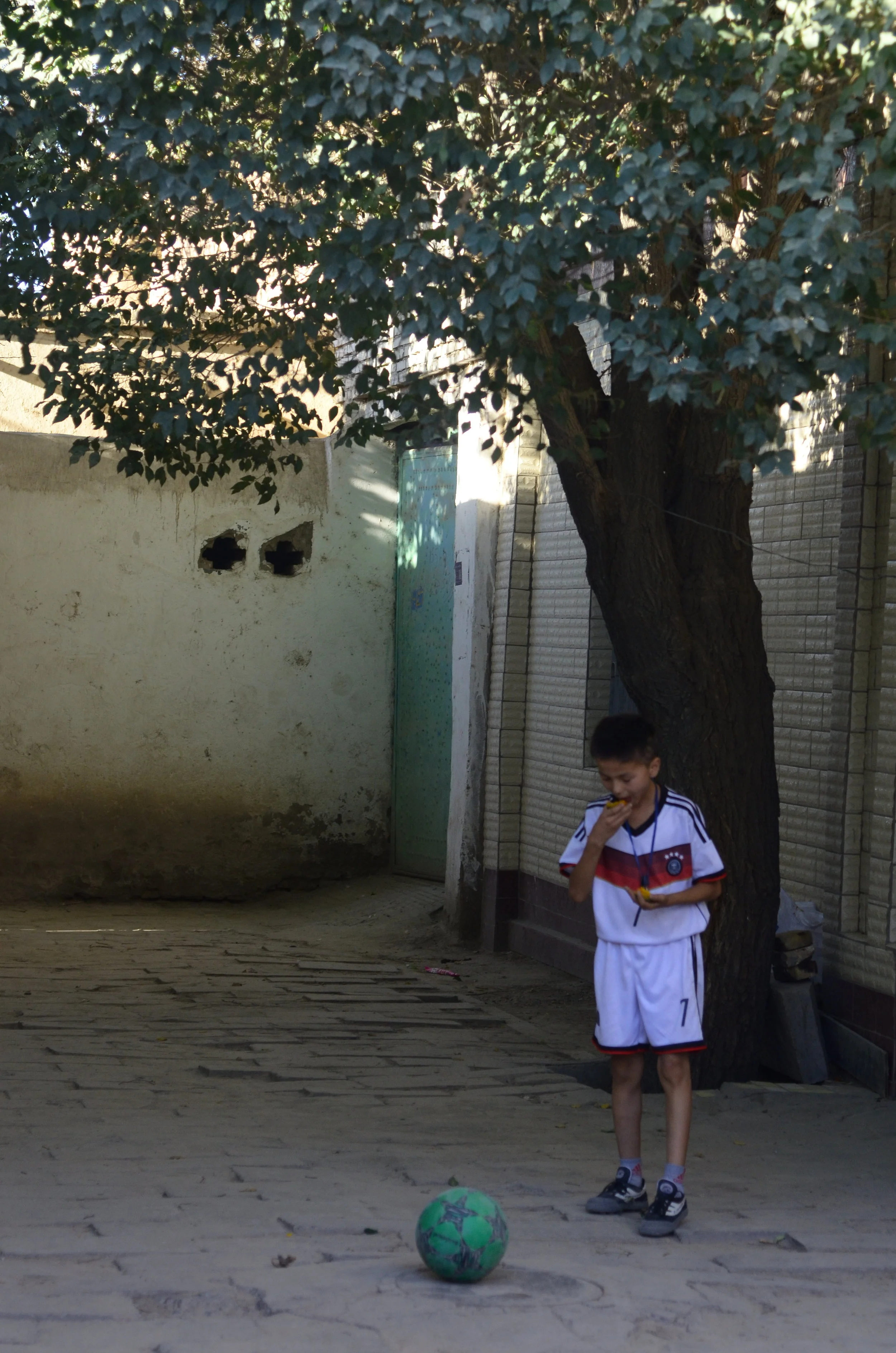 (Photography) Boy Under the Elm Tree, 2017.
