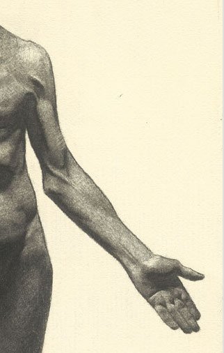 FUNDAMENTALS OF LIFE DRAWING