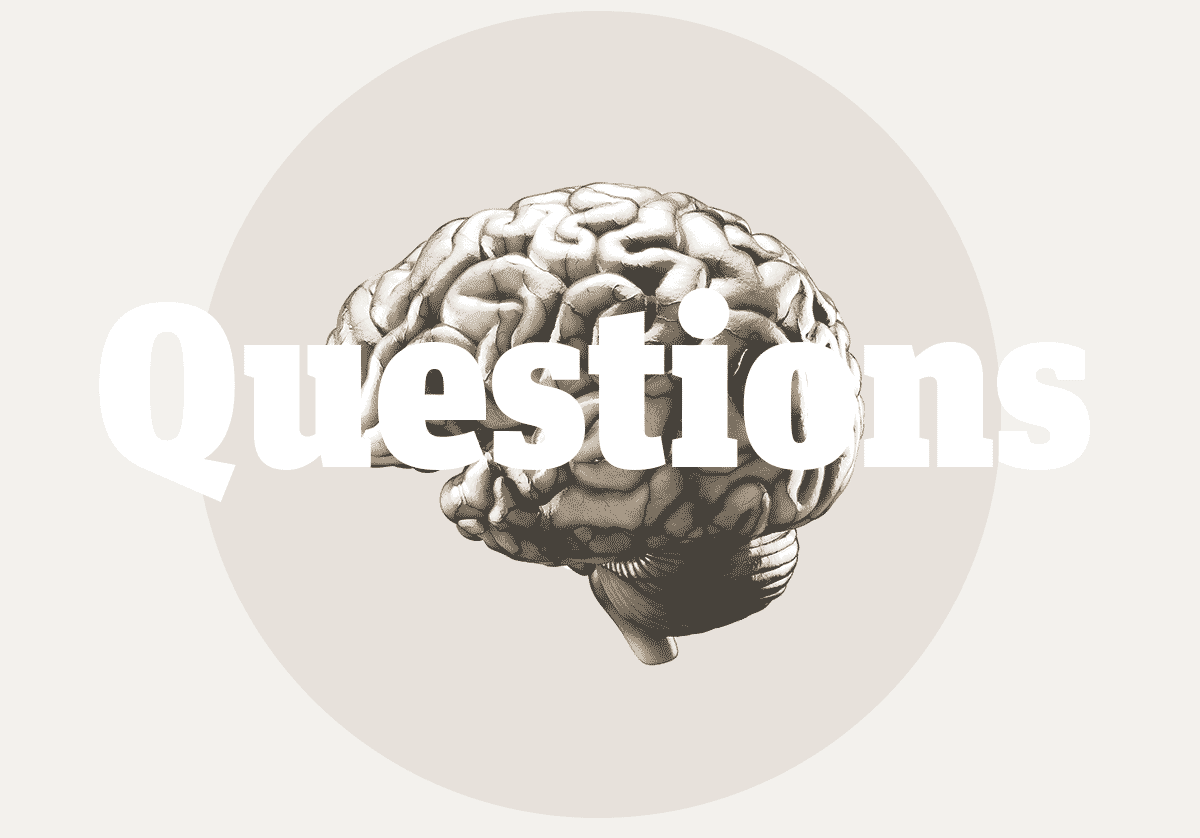 ApproachBrainQuestions.png