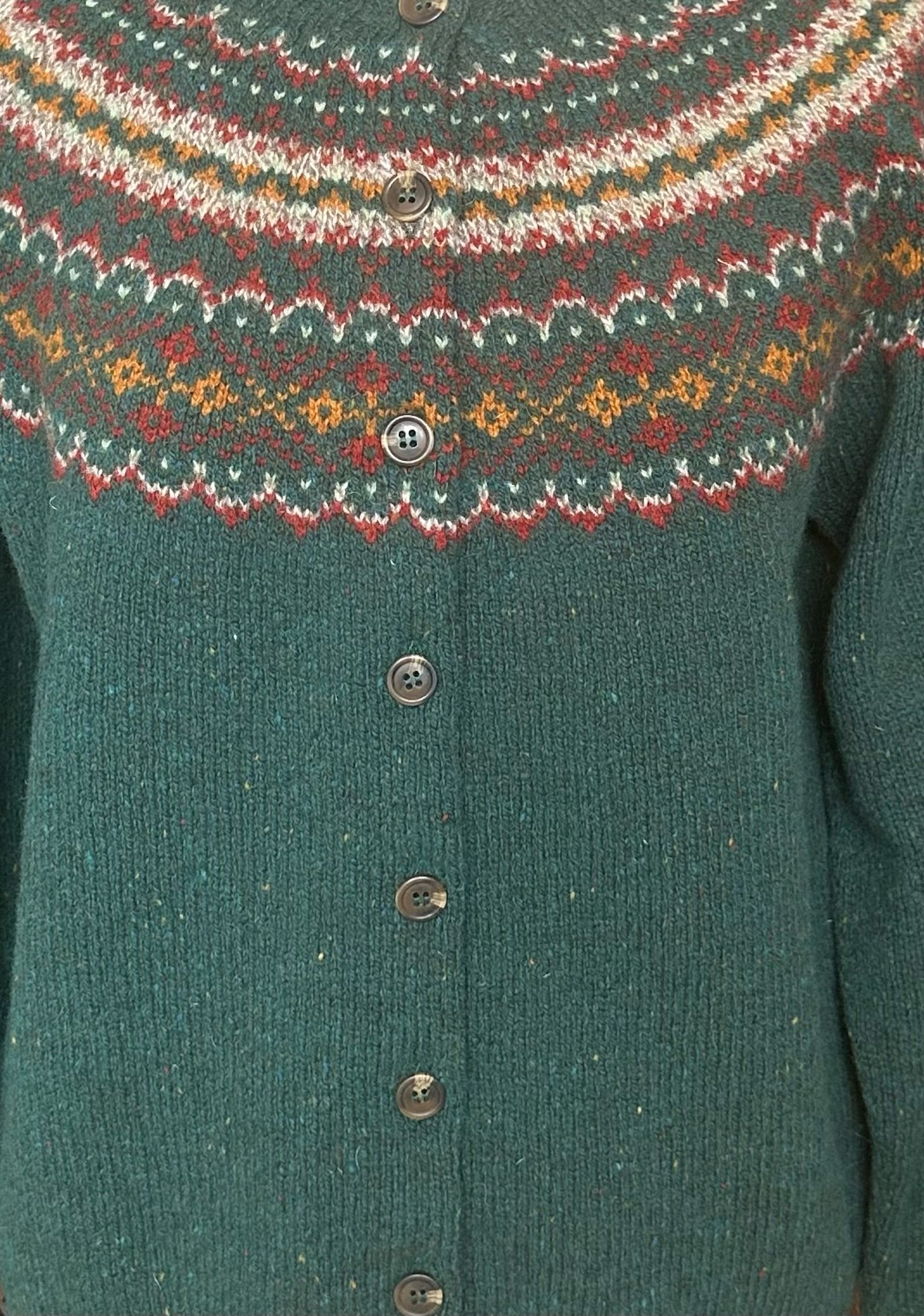 Canna 1.jpeg