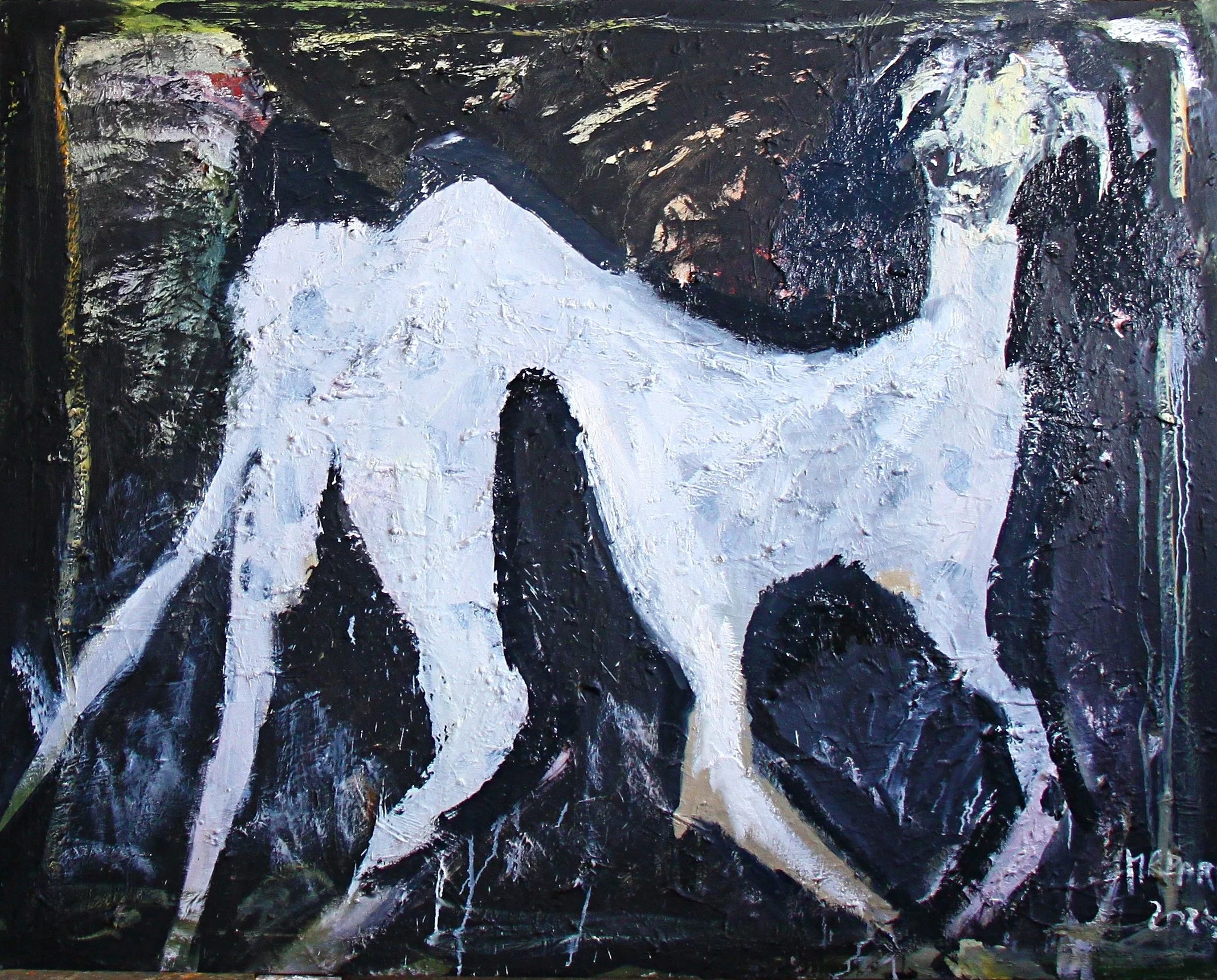 WHITE DOG