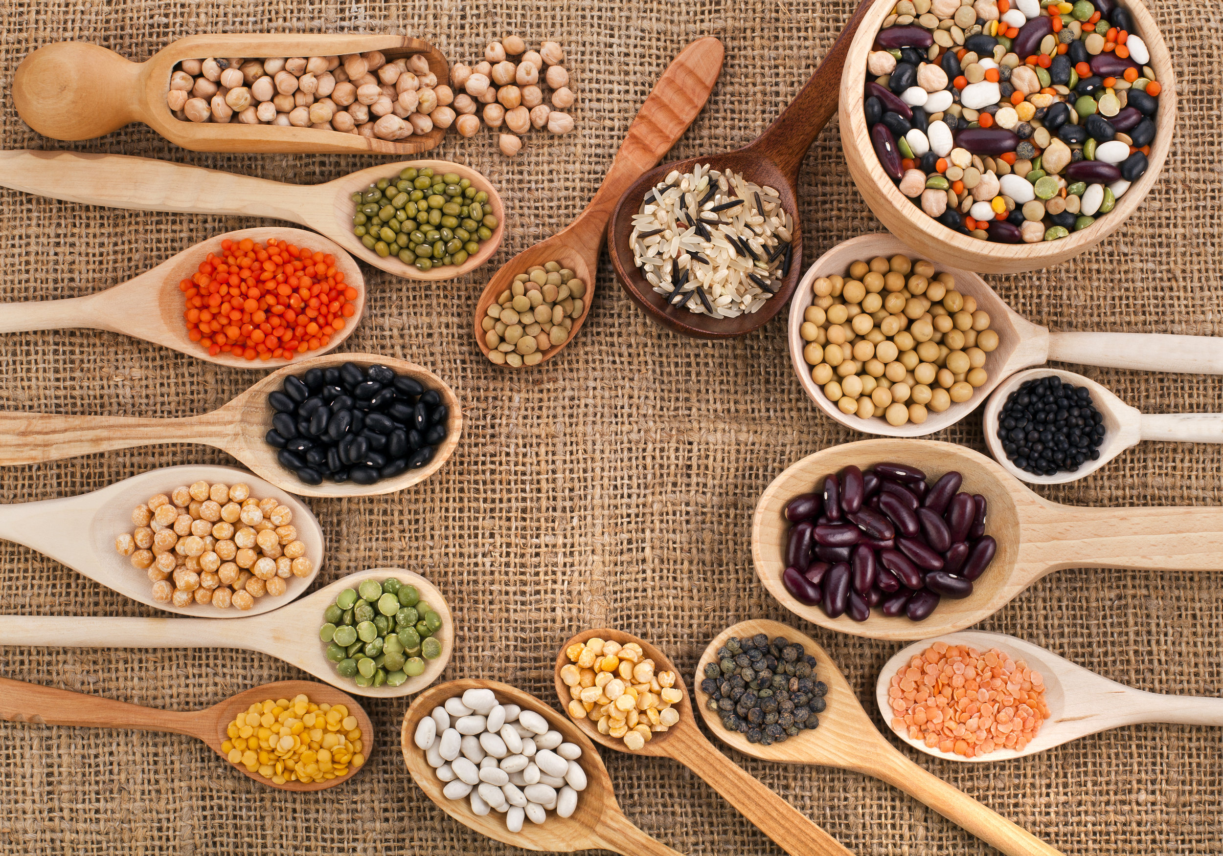 HUBBUB_PROTEIN_SPOONS_PORTIONS.jpg