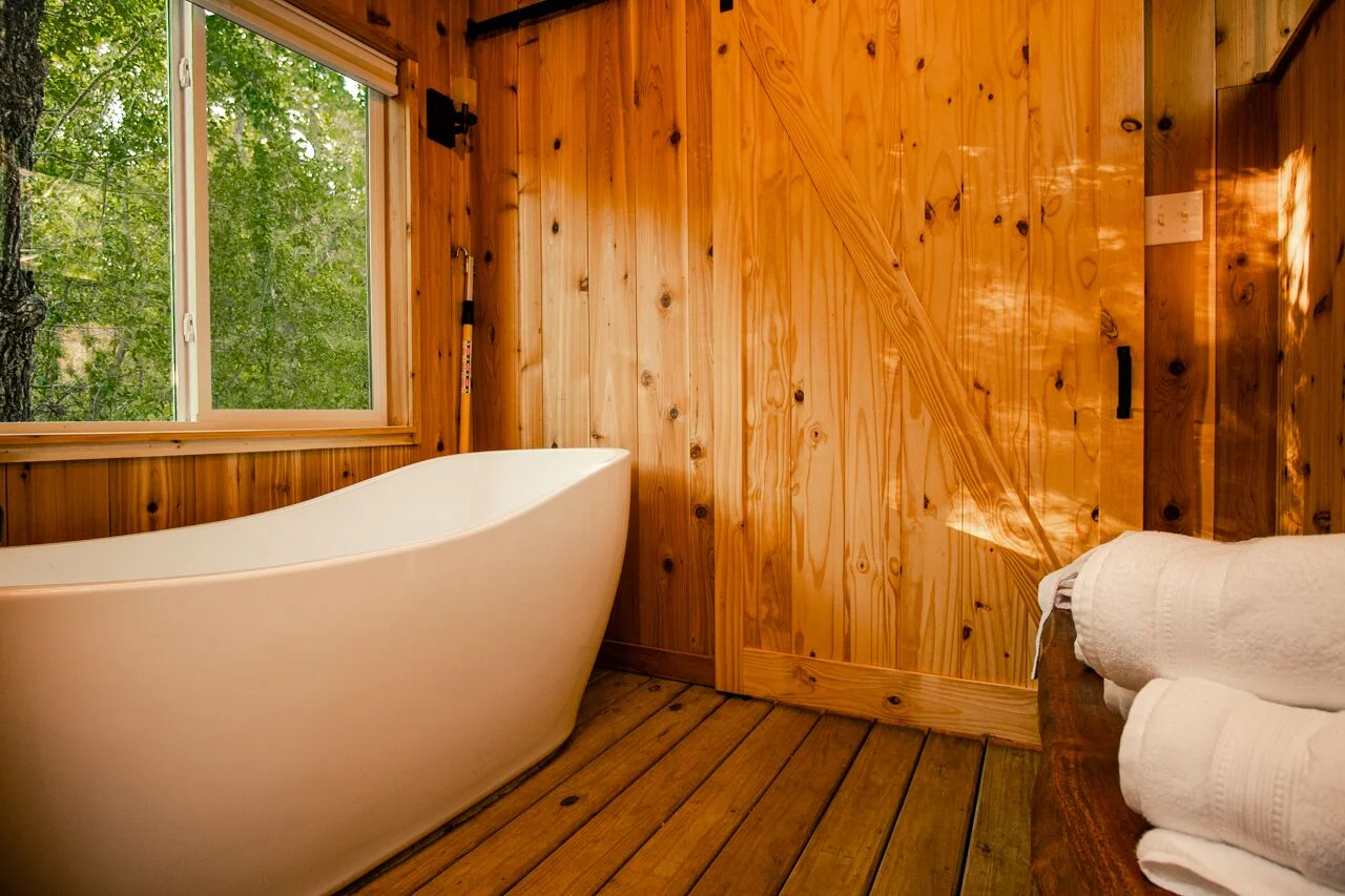 The Nest tub.jpeg