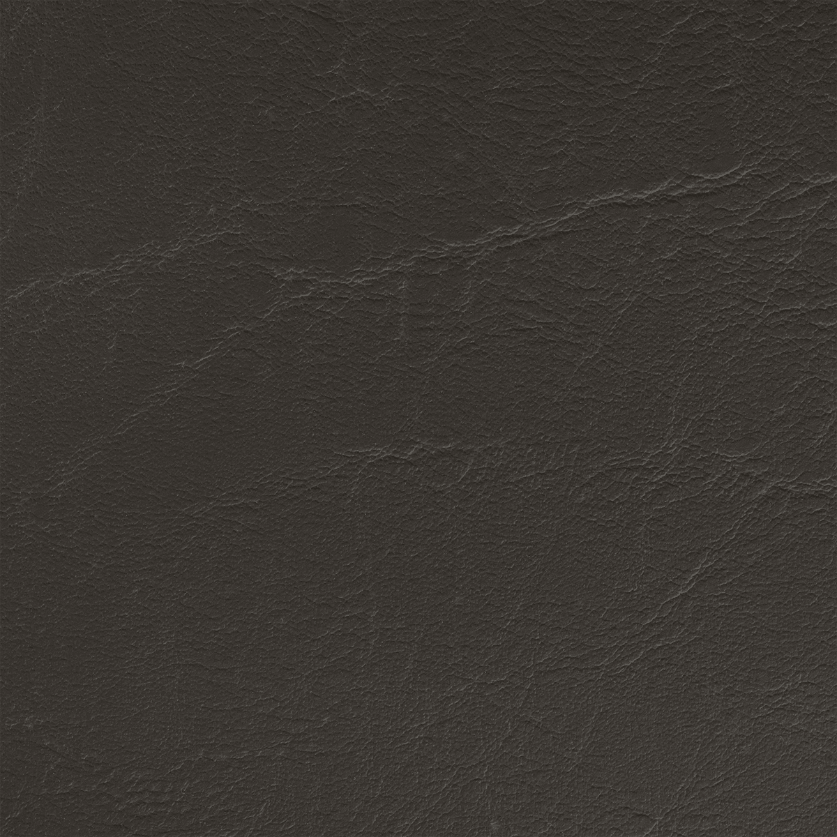 VENICE TN34 Black