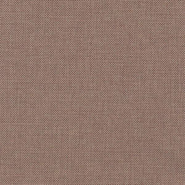 LIBRA 61 Blush