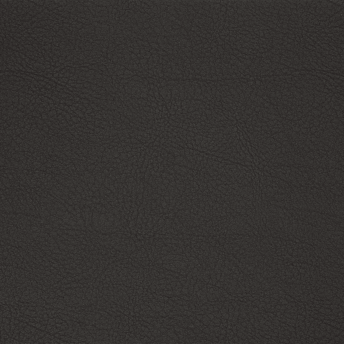 DOMUS TC22 Black