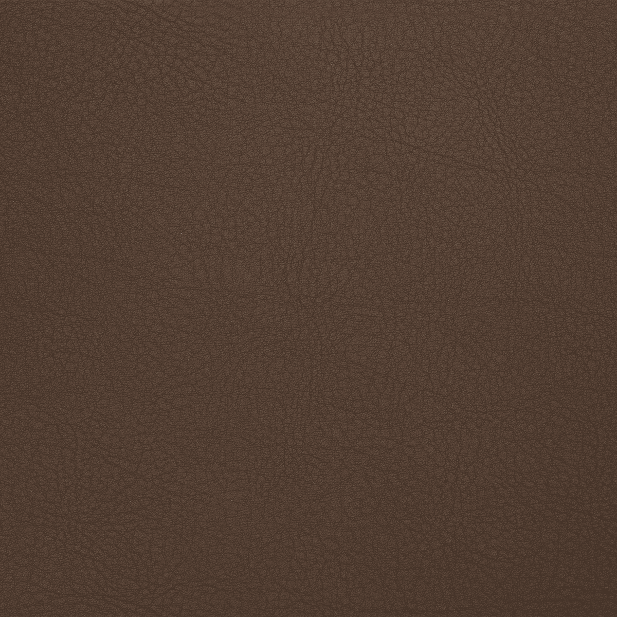 DOMUS TC26 Praline